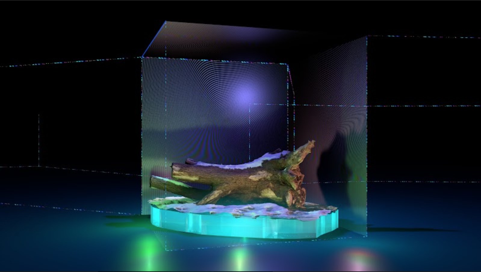 momenta-biennale-sabrina-ratte-floralia