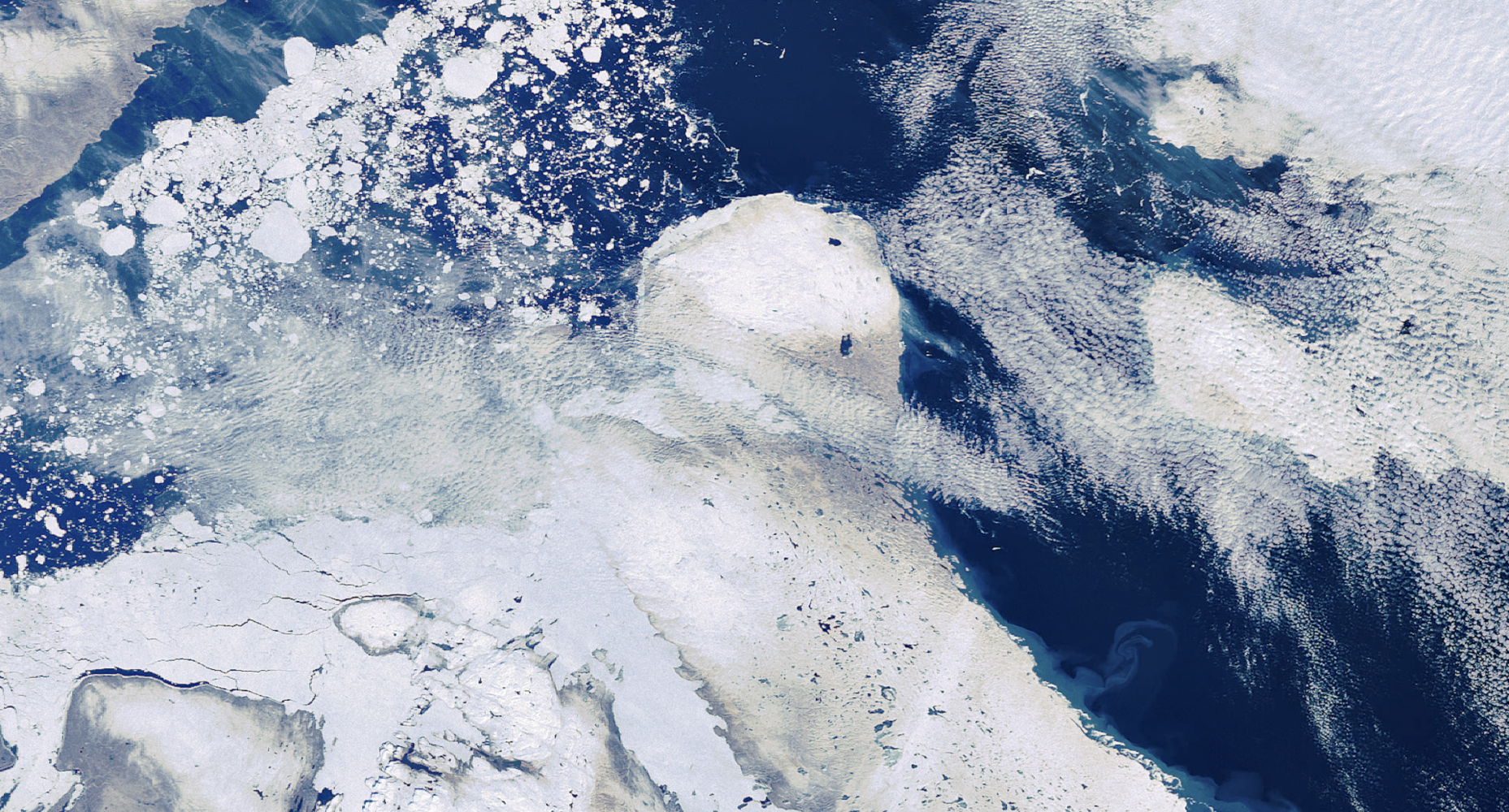 momenta-biennale-susan-schuppli-learning-from-ice(2)