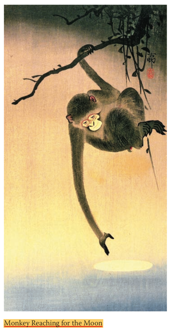 momenta-biennale-tejal-shah-monkey-reaching-for-the-moon