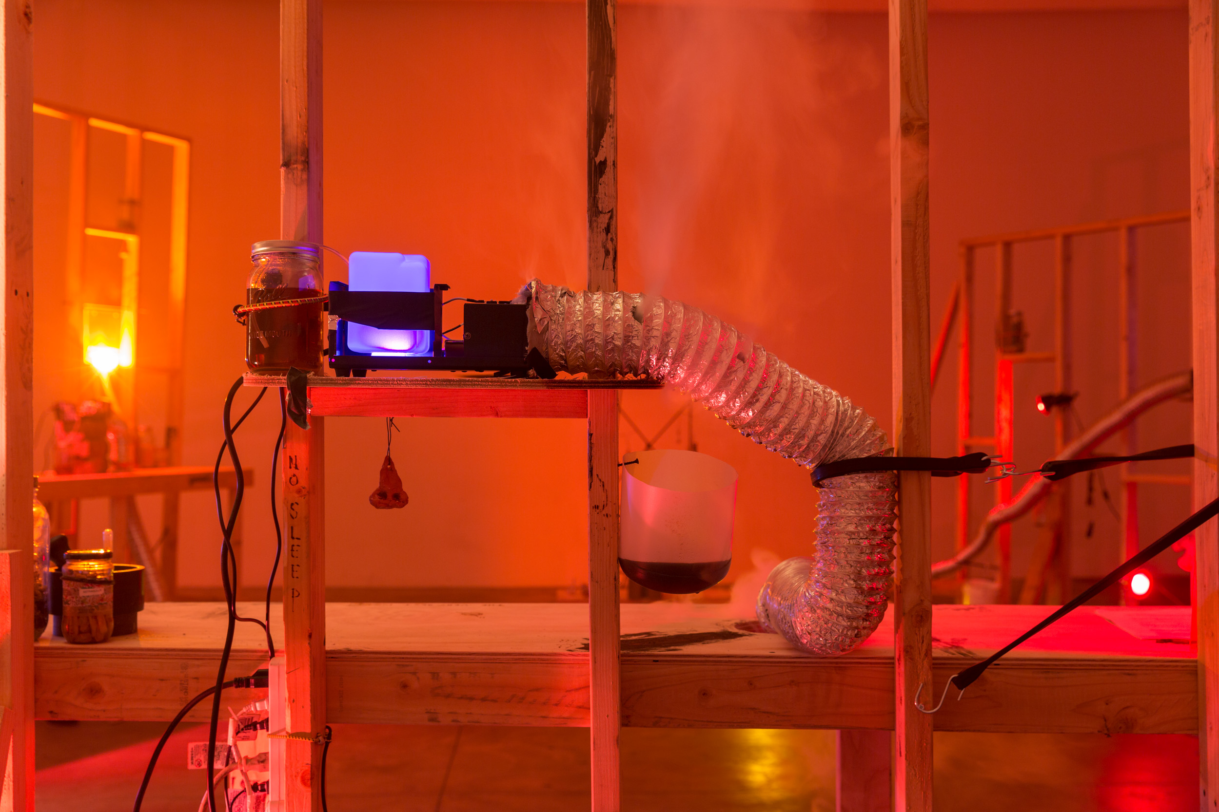 Candice Lin and P. Staff,LESBIAN GULLS, DEAD ZONES, SWEAT item-gallery T., 2017, installation view, Human Resources, Los Angeles. Courtesy of Human Resources (Los Angeles) and François Ghebaly (Los Angeles)