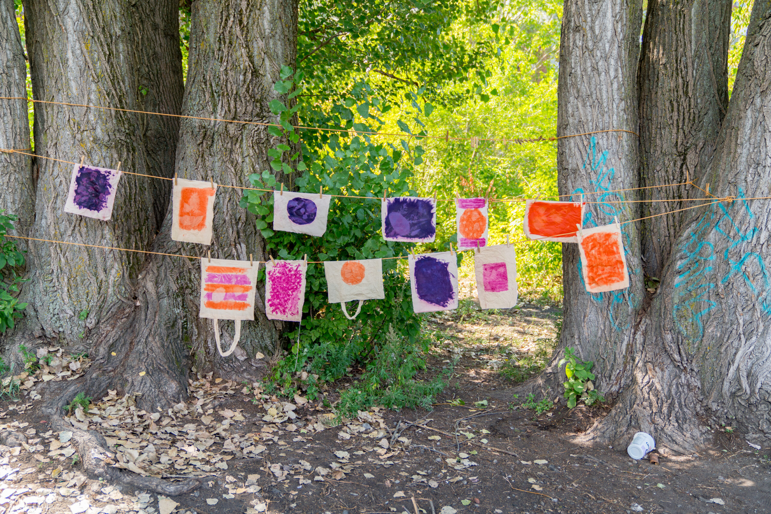 momenta-biennale-impressions-solaires-bush-gallery-optica