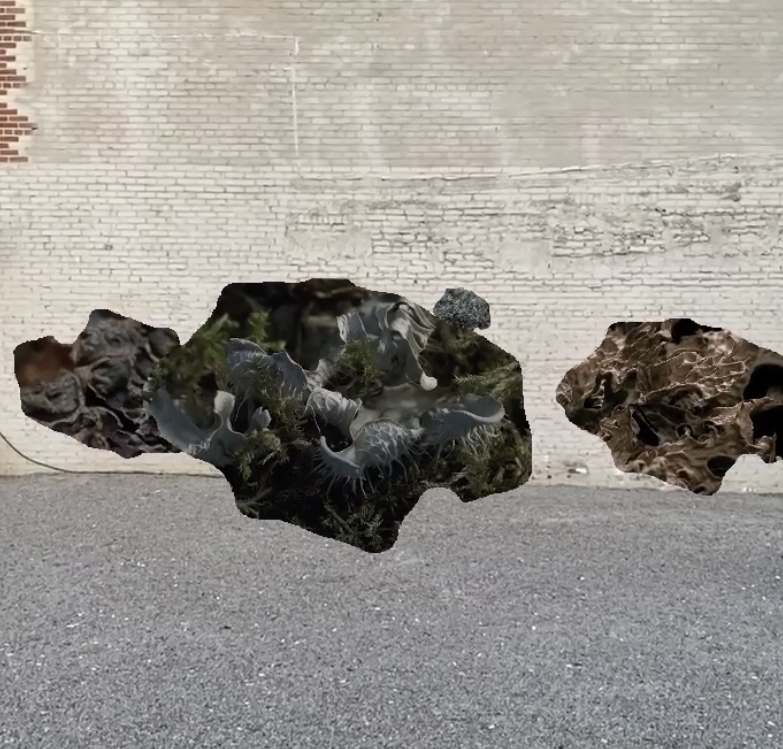 momenta-biennale-lisa-jackson-lichen(2)