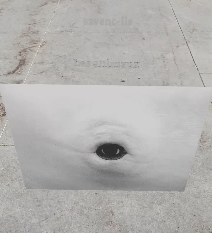 momenta-biennale-maryse-goudreau-presage-de-1995