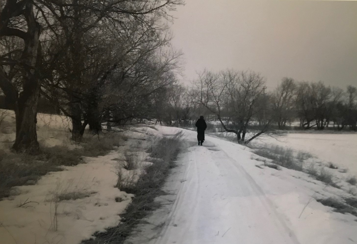 momenta-biennale-lara-kramer(2)