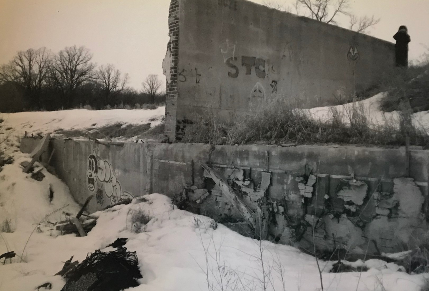 momenta-biennale-lara-kramer(3)