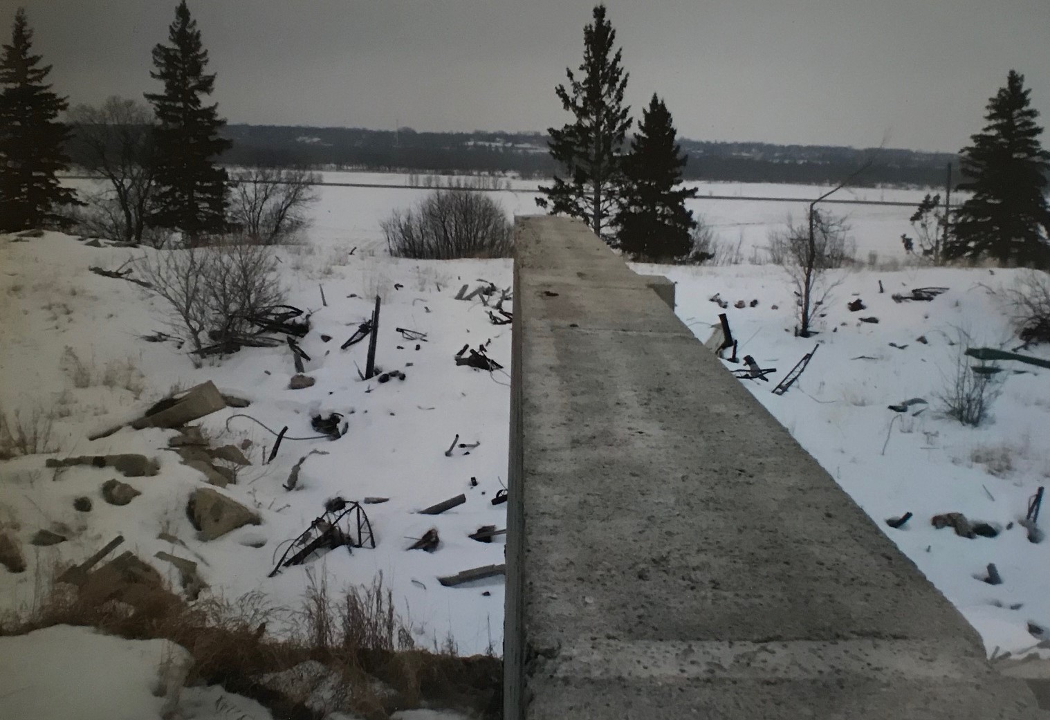 momenta-biennale-lara-kramer(5)