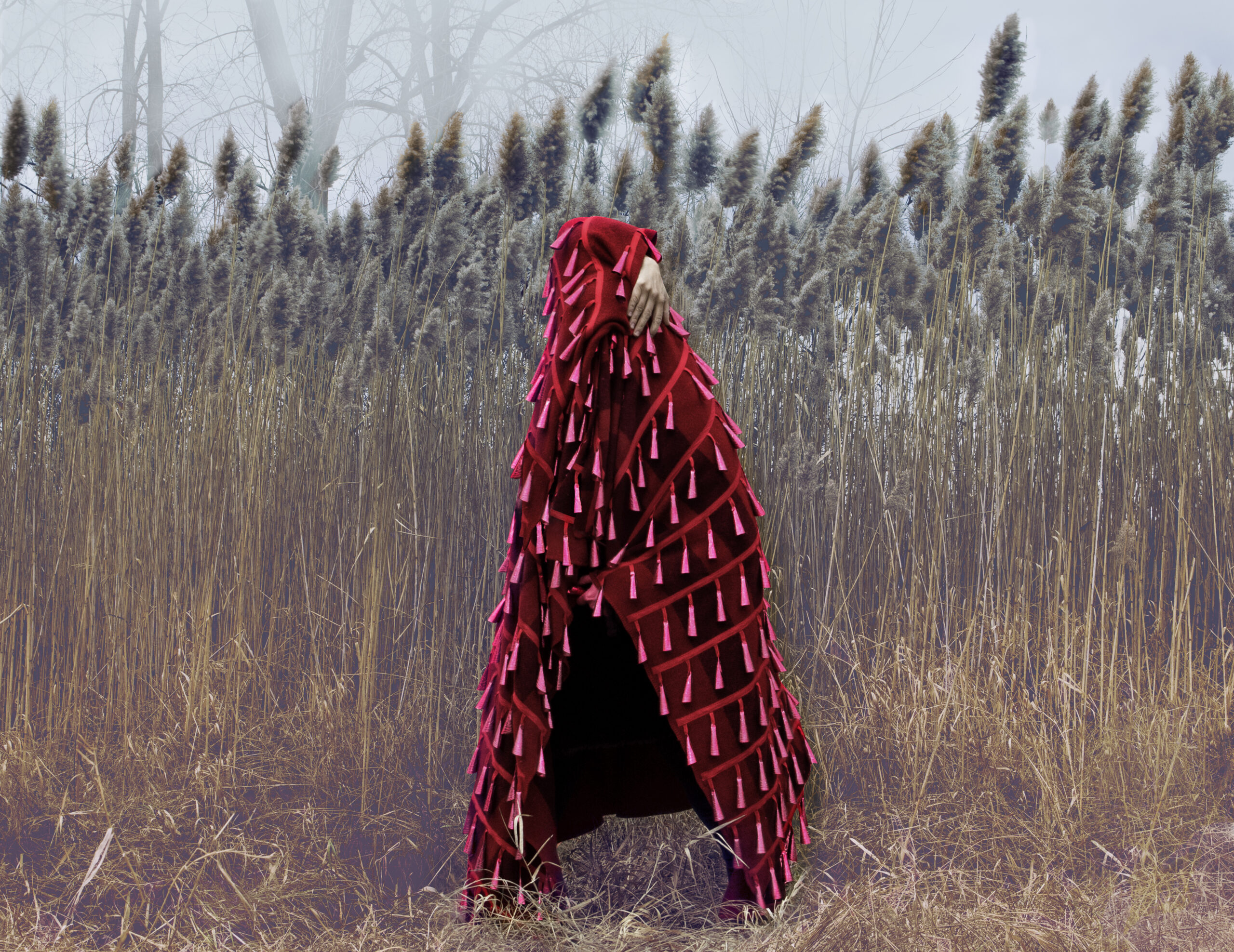 momenta-biennale-lara-kramer(9)