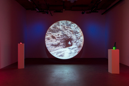 “Sensing Nature / Quand la nature ressent” 17th MOMENTA Biennale de l’image Tiohtià:ke / Mooniyang / Montréal