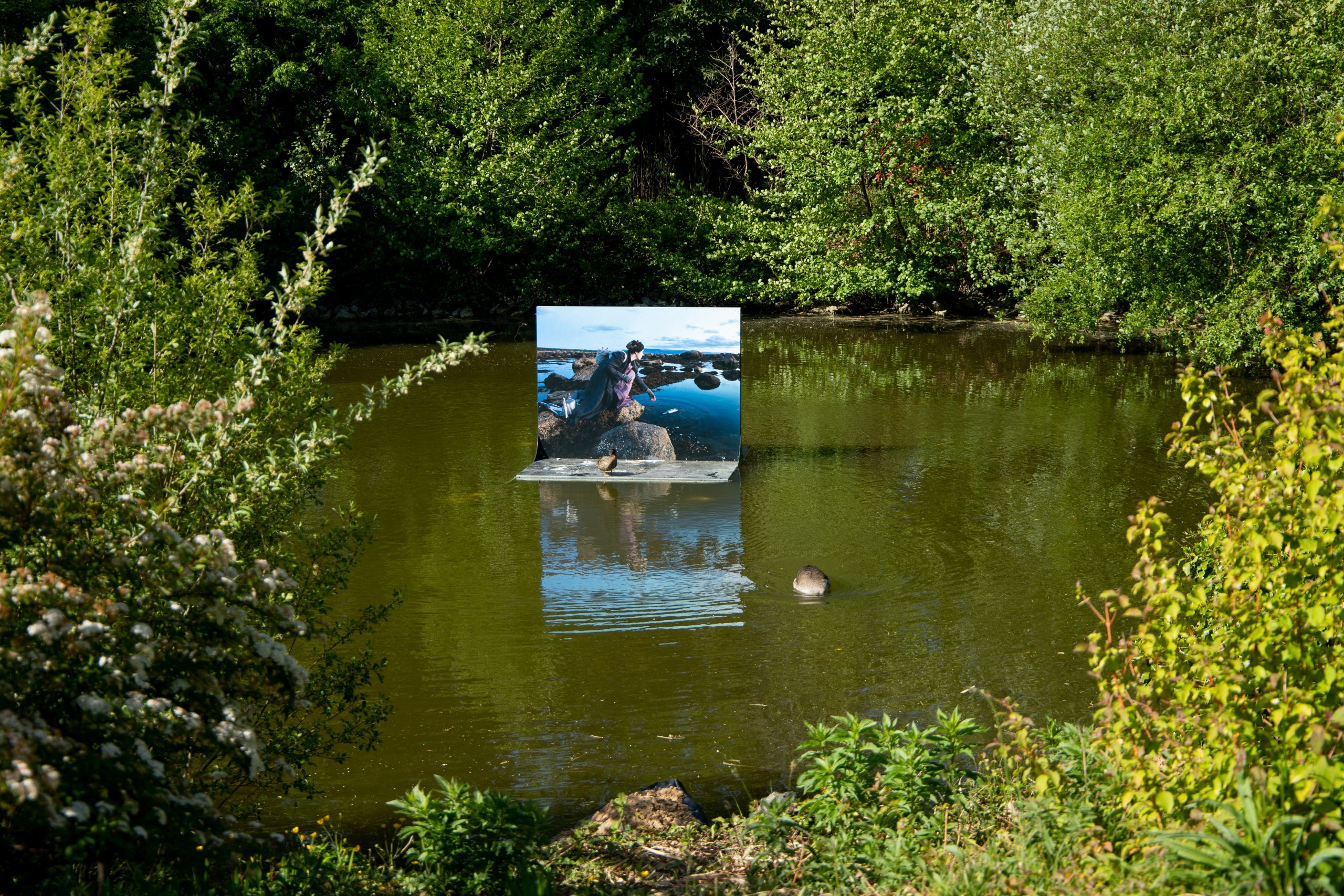 momenta-biennale-meryl-mcmaster