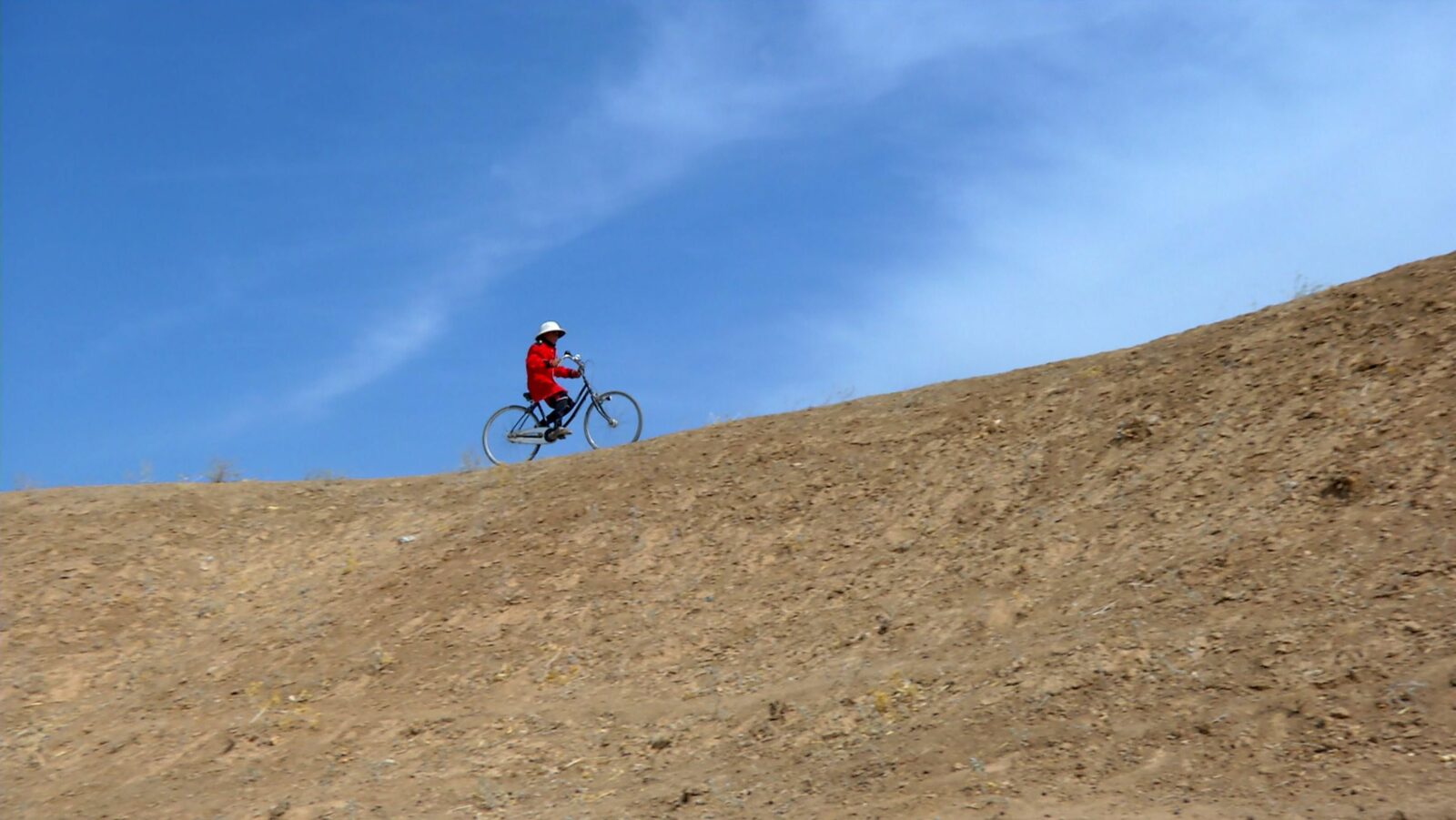 momenta-biennale-francis-alys-sandlines