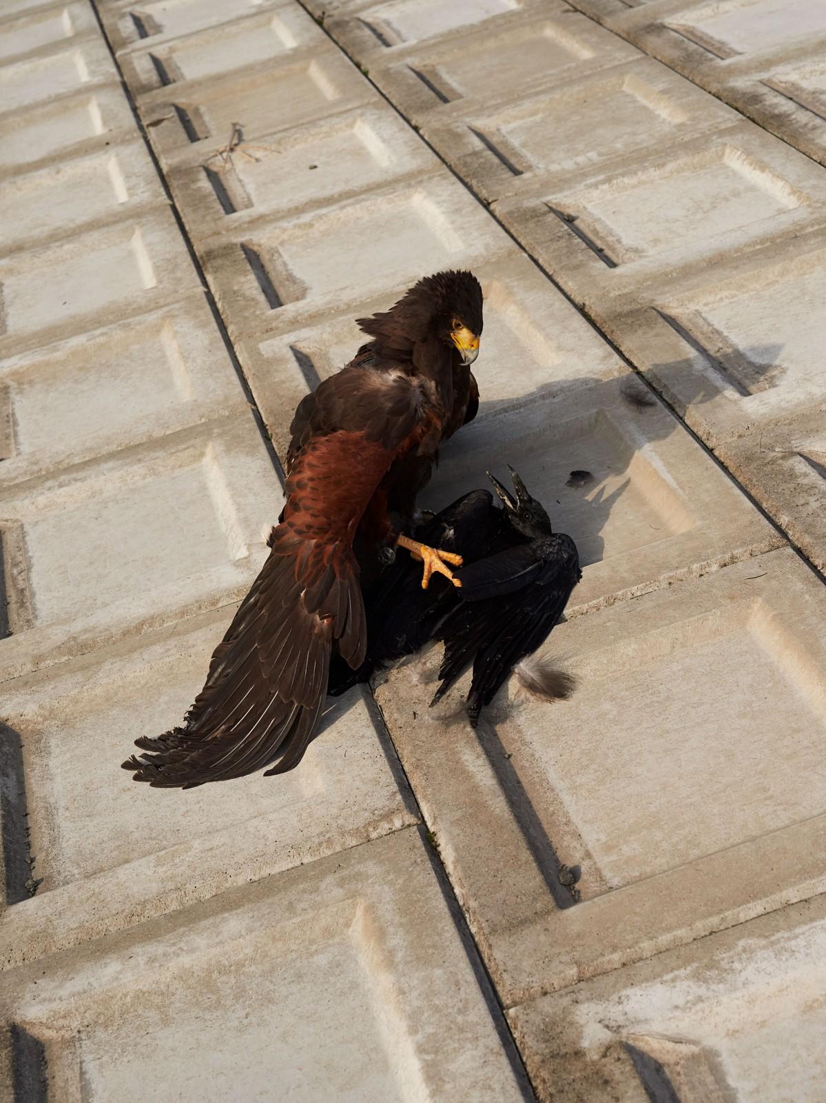 momenta-biennale-guillaume-simoneau