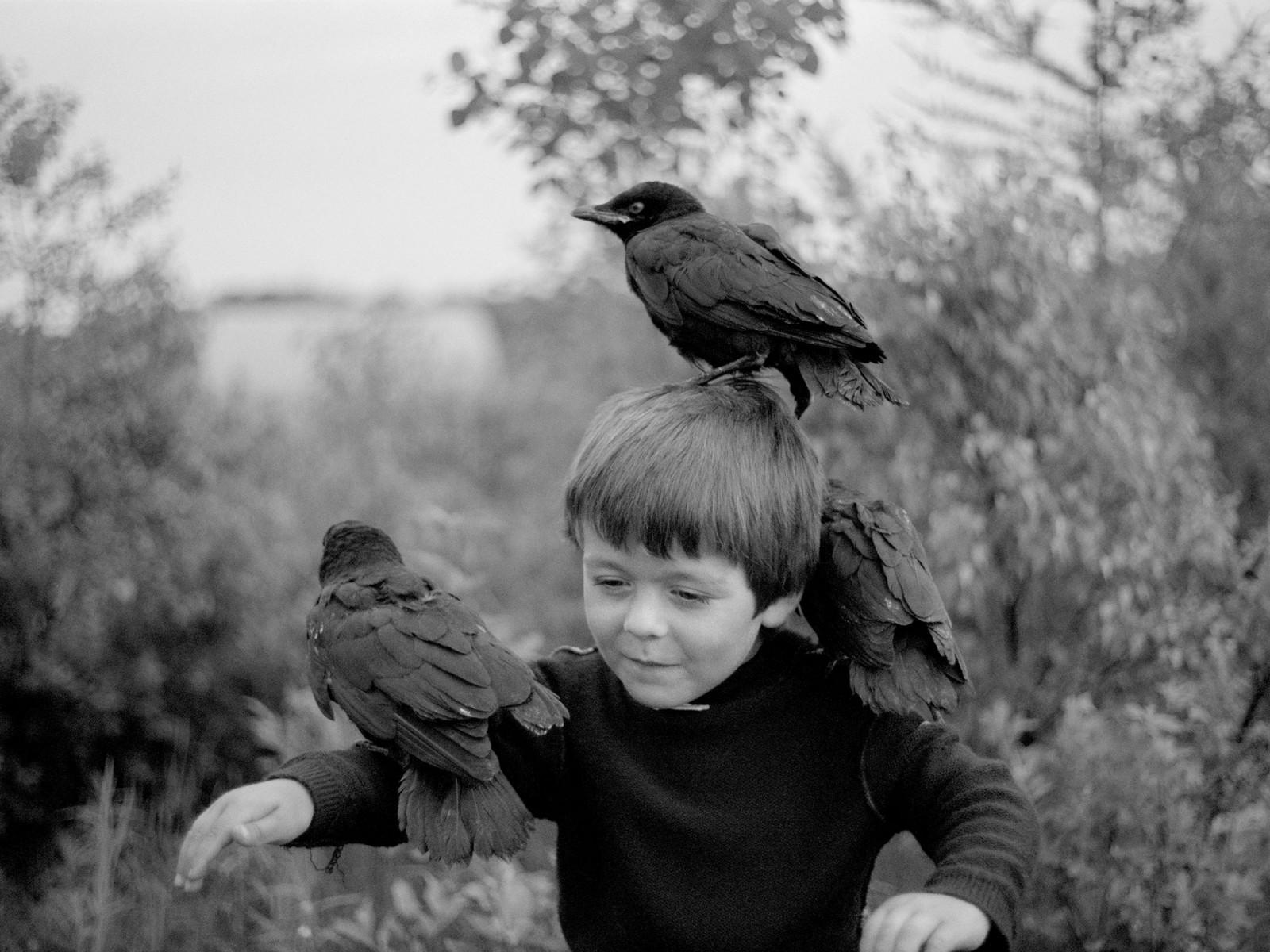 momenta-biennale-guillaume-simoneau