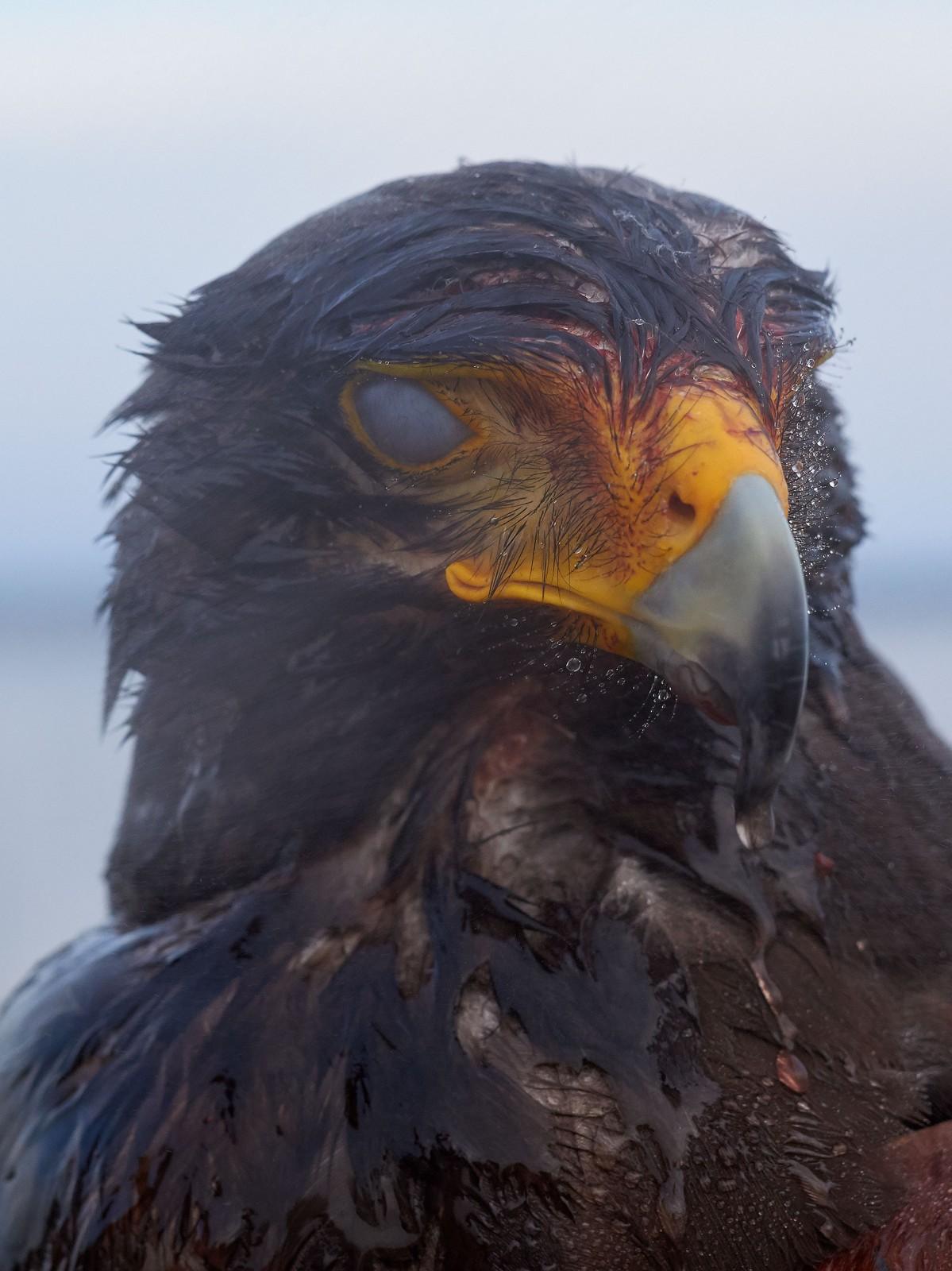 momenta-biennale-guillaume-simoneau