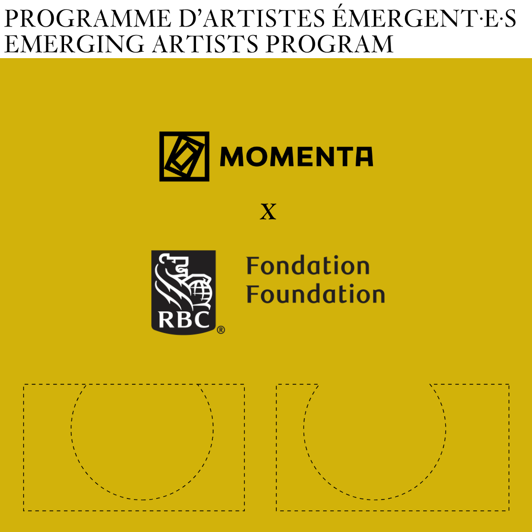 momenta-biennale-rbc-fondation