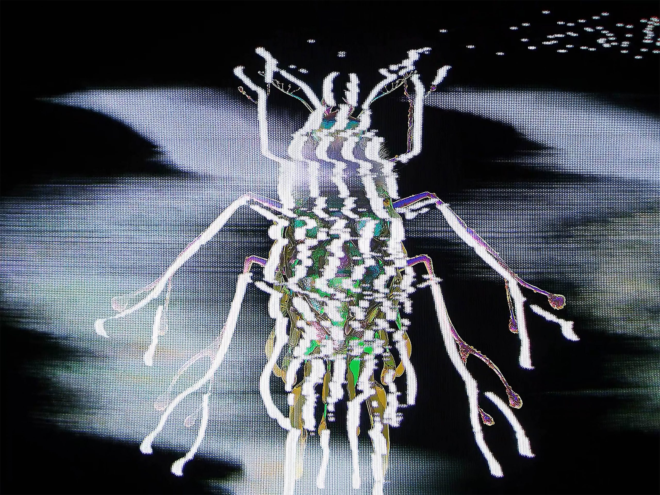 momenta-biennale-01-Bianca-Shonee-Arroyo-Kreimes