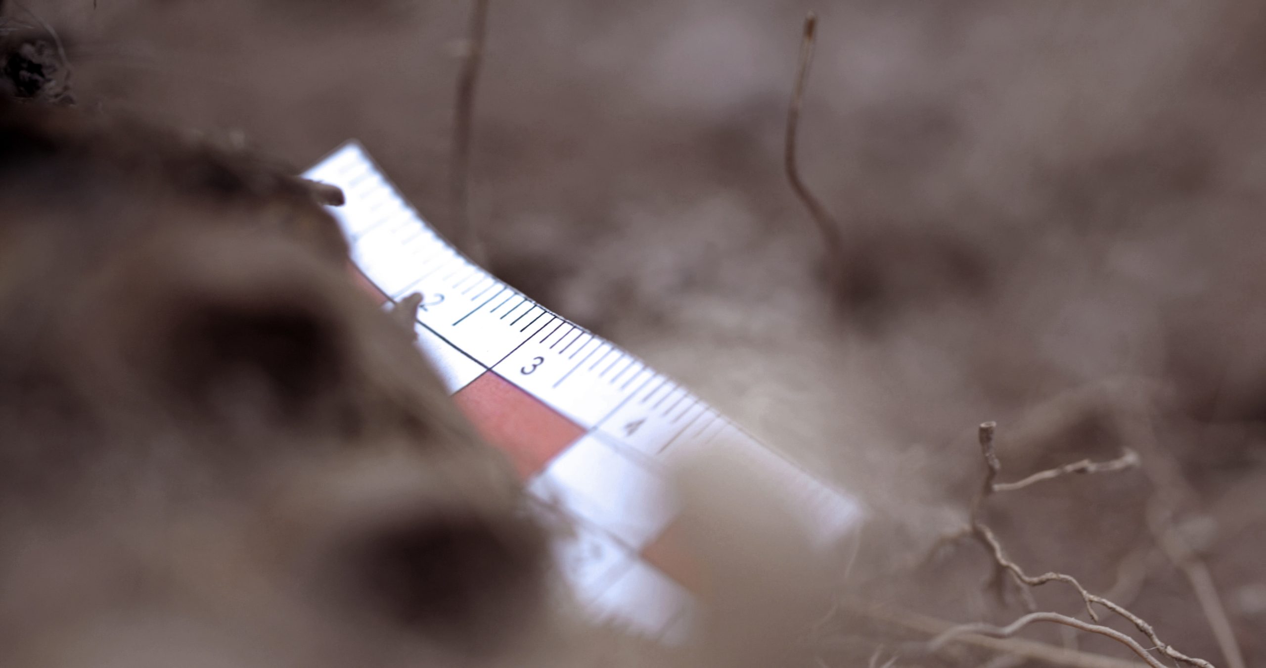 momenta-biennale-01-maya-watanabe