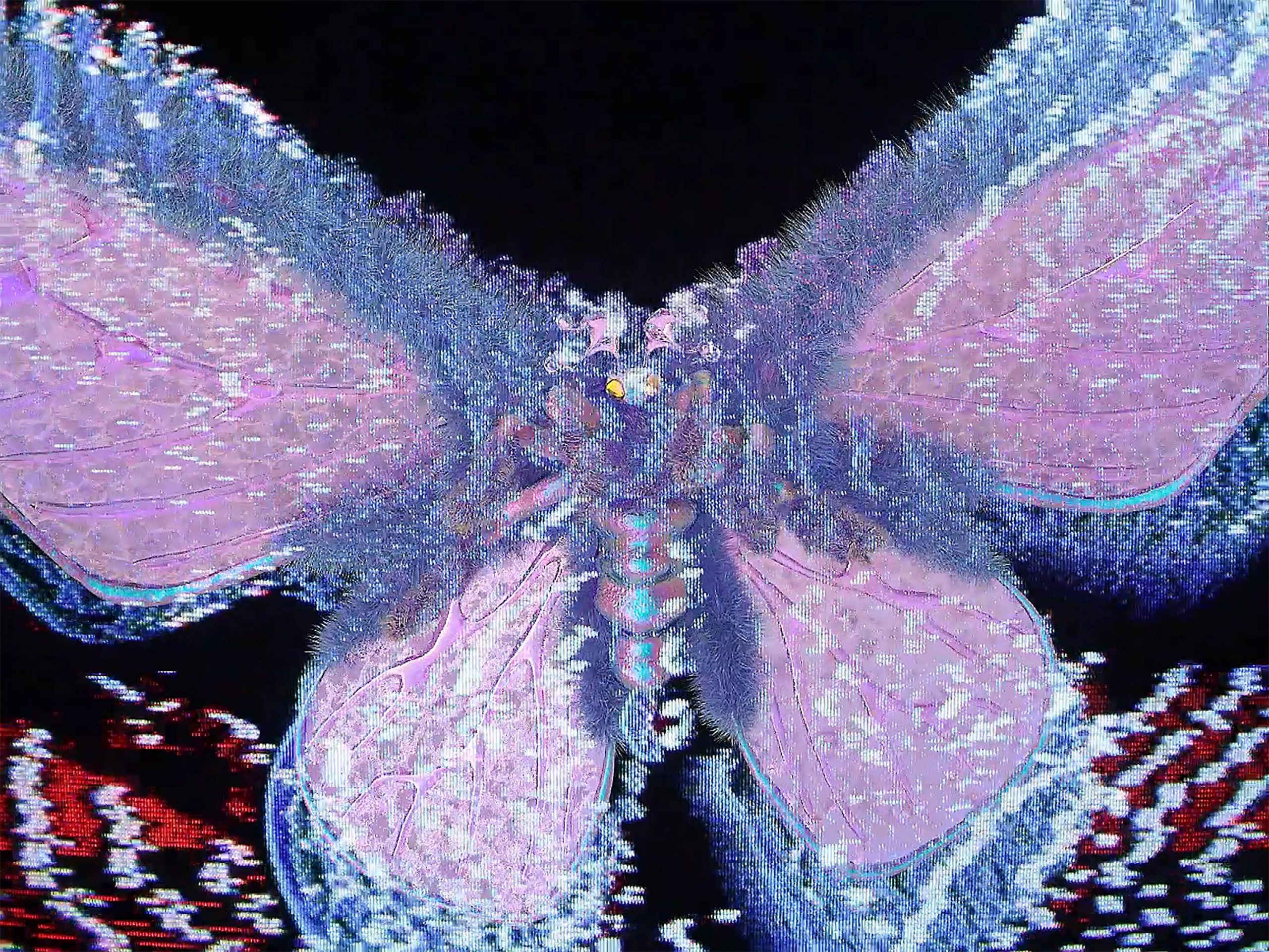 momenta-biennale-02-Bianca-Shonee-Arroyo-Kreimes