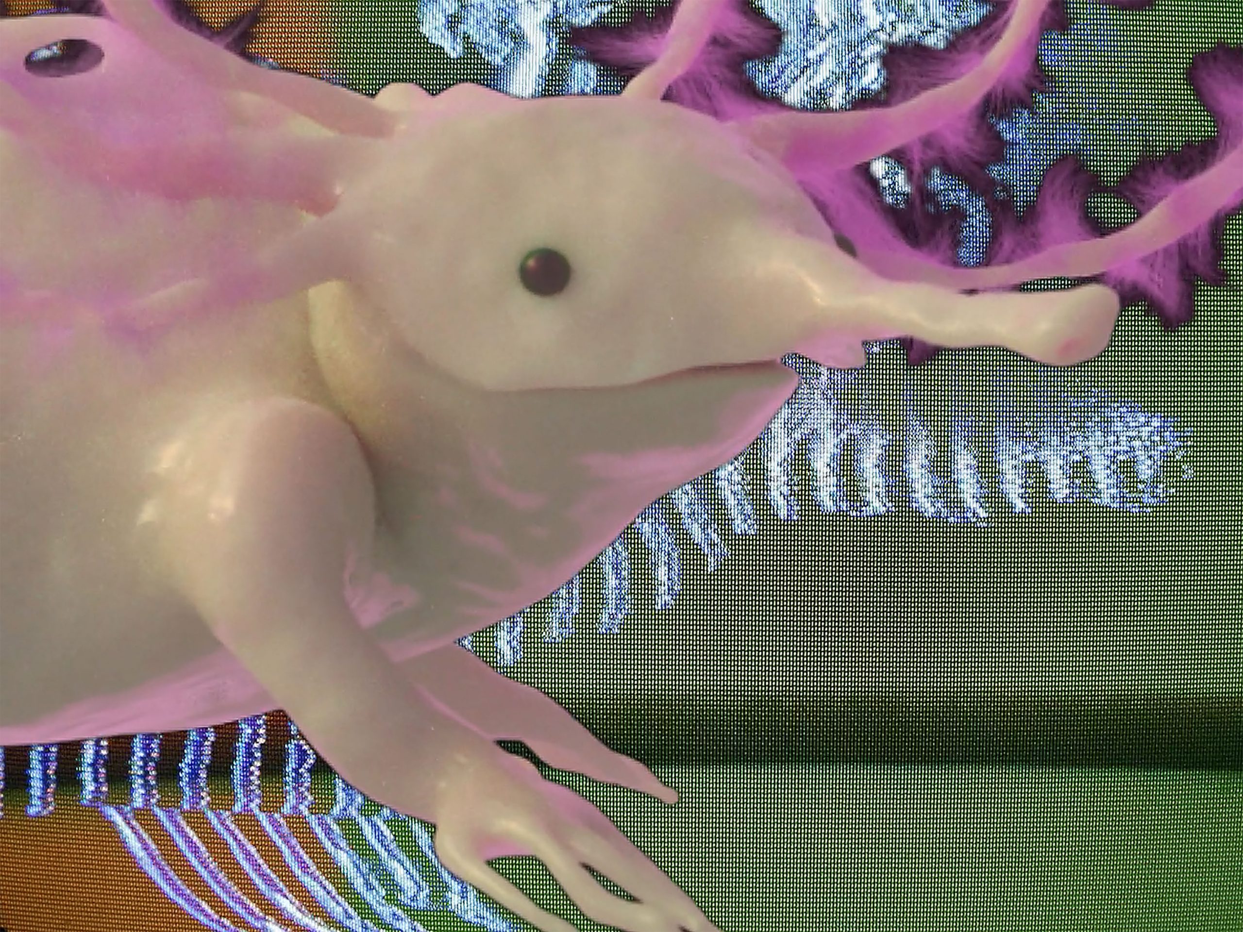 momenta-biennale-03-Bianca-Shonee-Arroyo-Kreimes