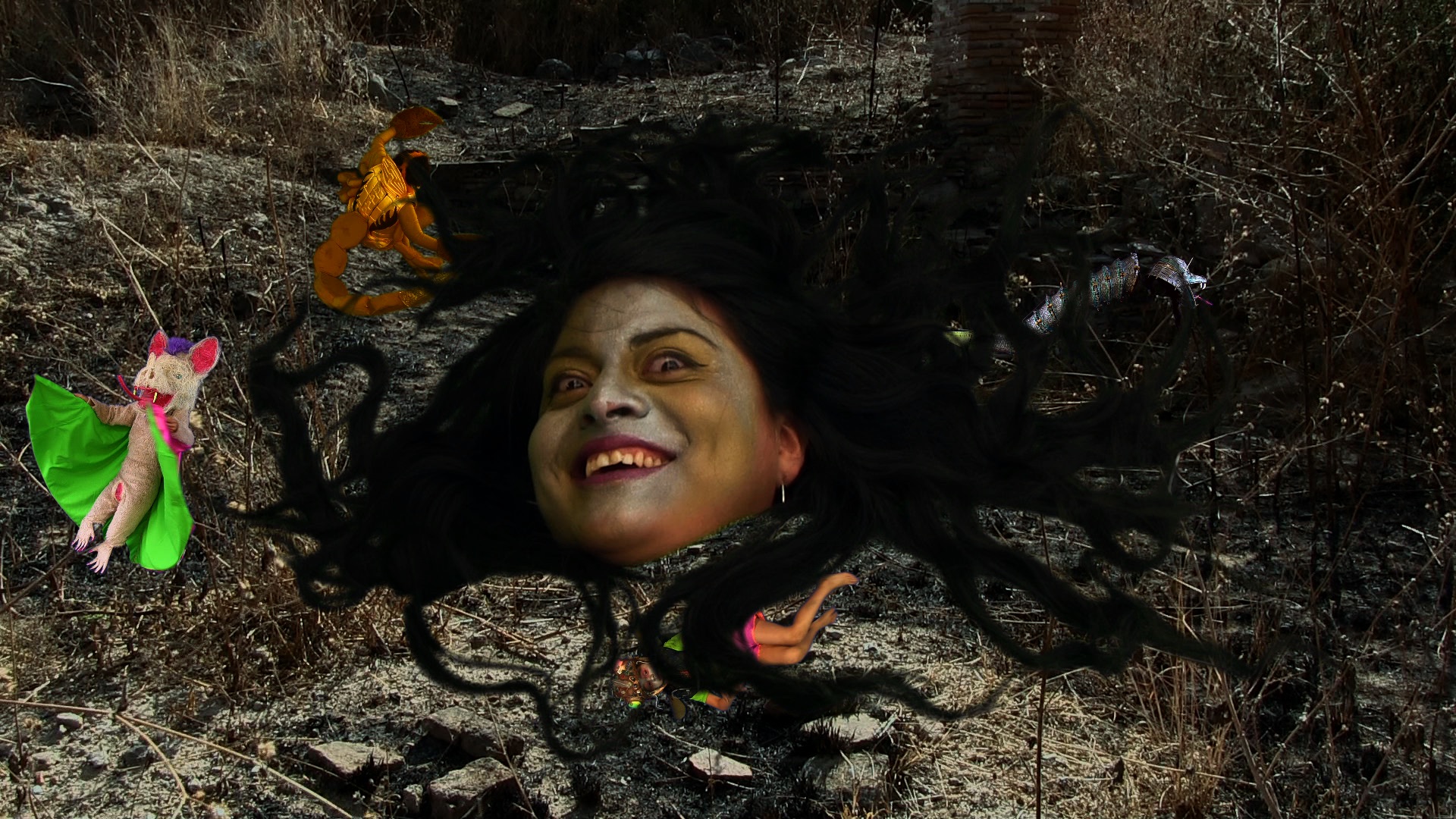 momenta-biennale-03-Naomi-Rincón-Gallardo