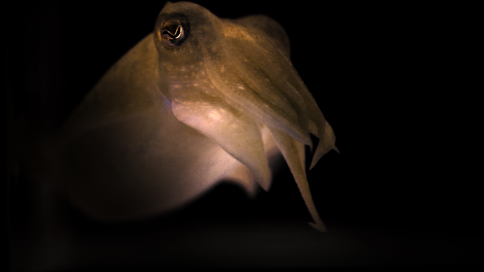 momenta-biennale-03-bianca-baldi