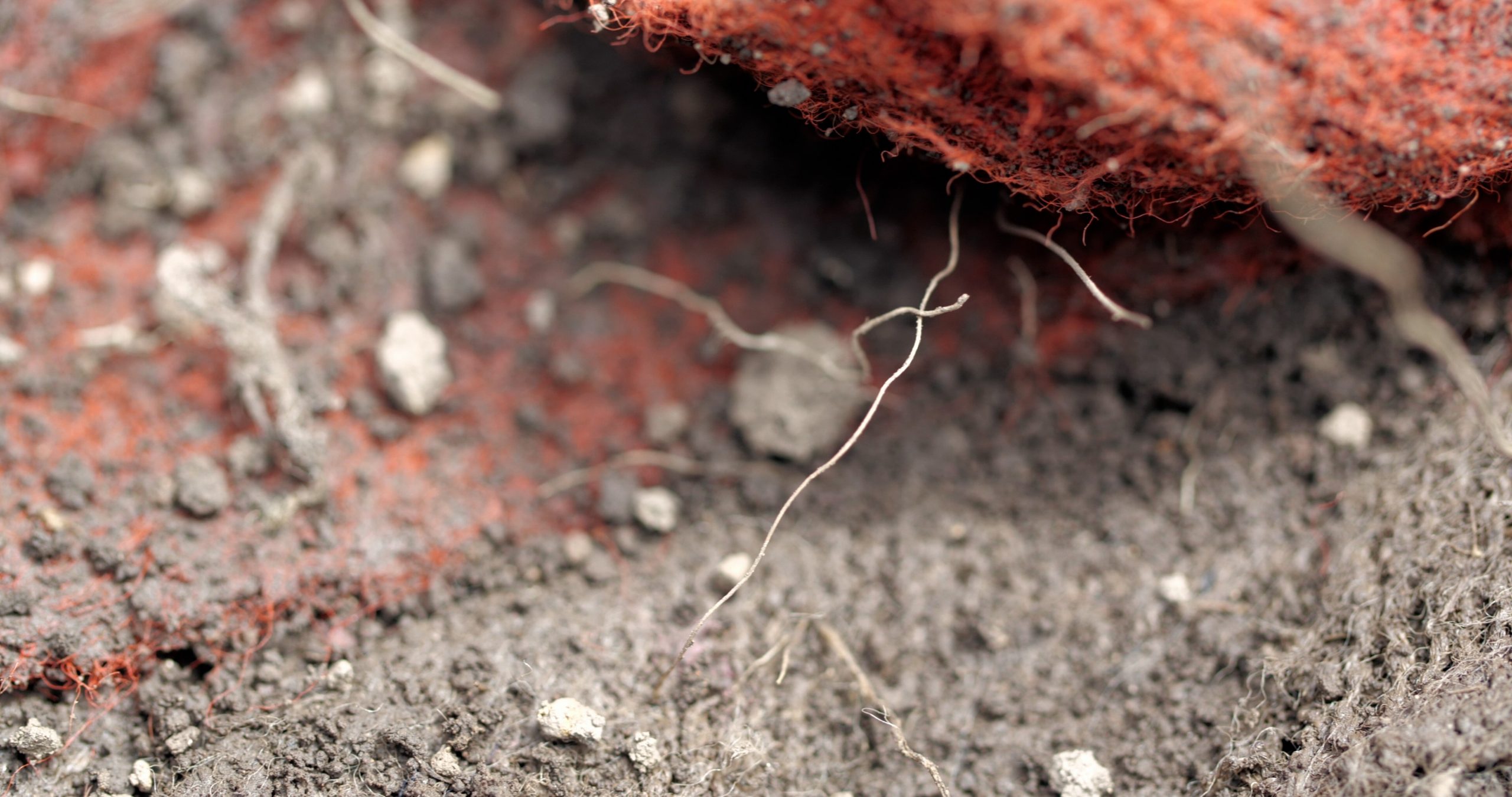 momenta-biennale-03-maya-watanabe