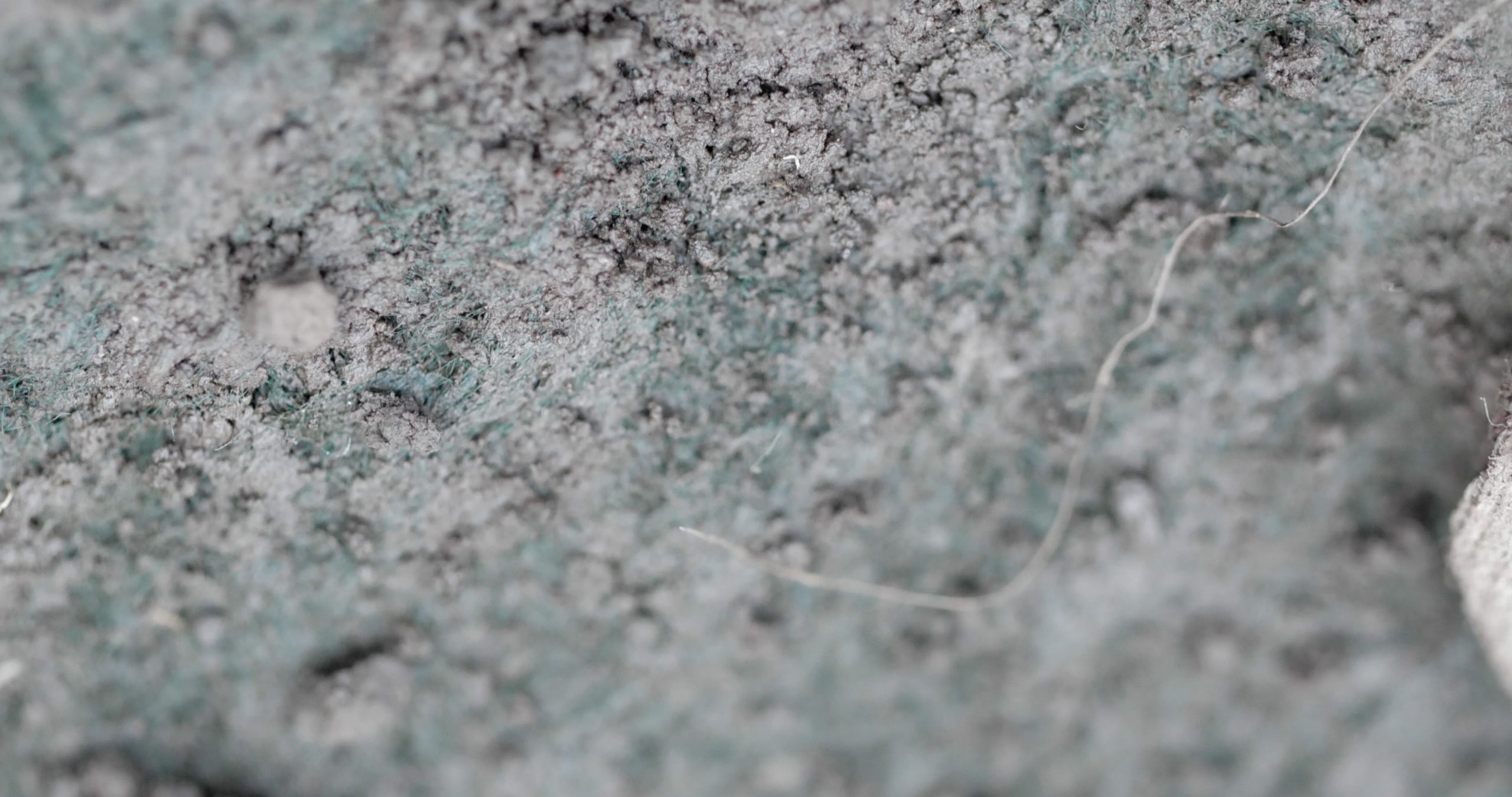 momenta-biennale-04-maya-watanabe