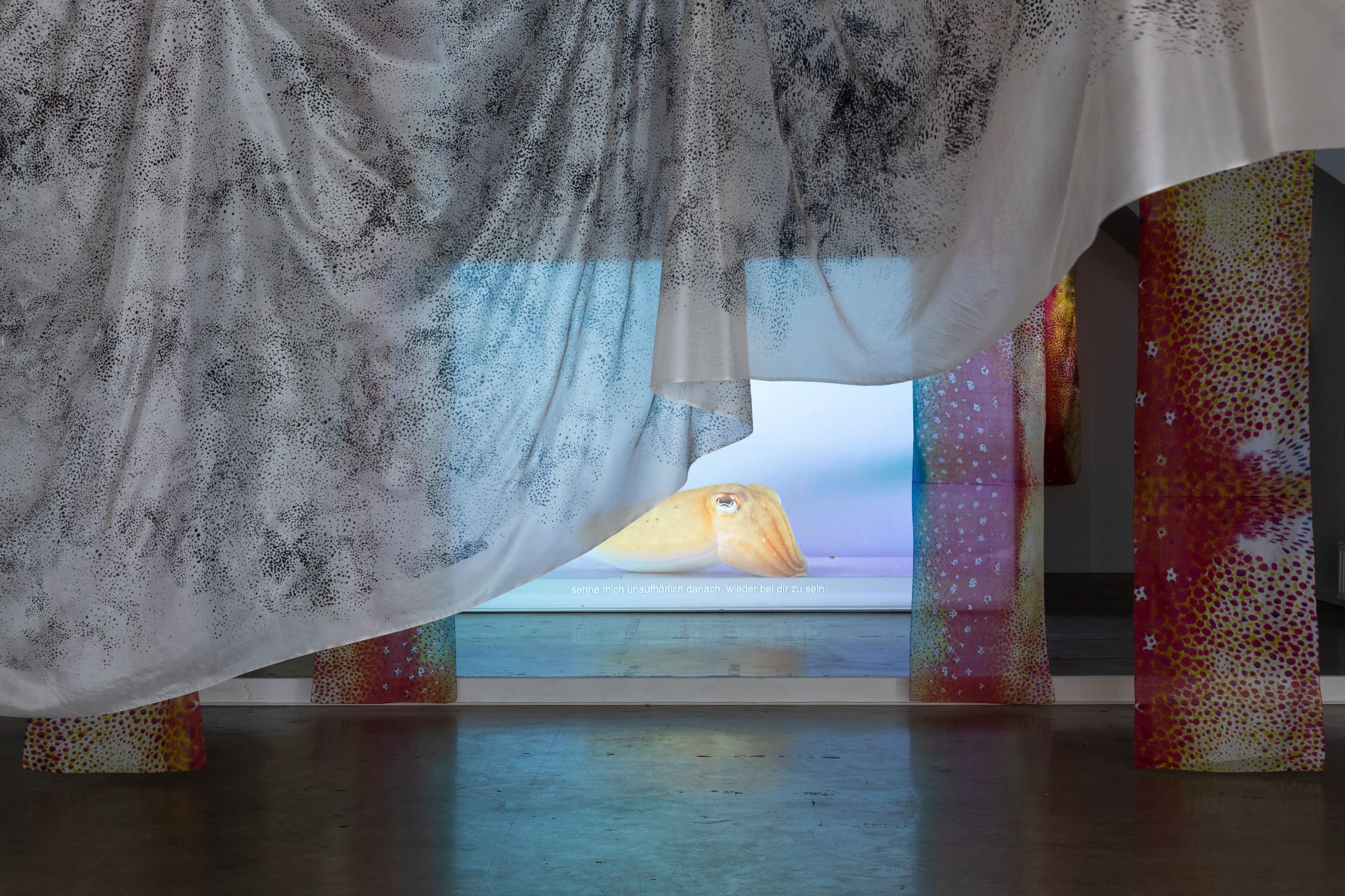 momenta-biennale-05-bianca-baldi