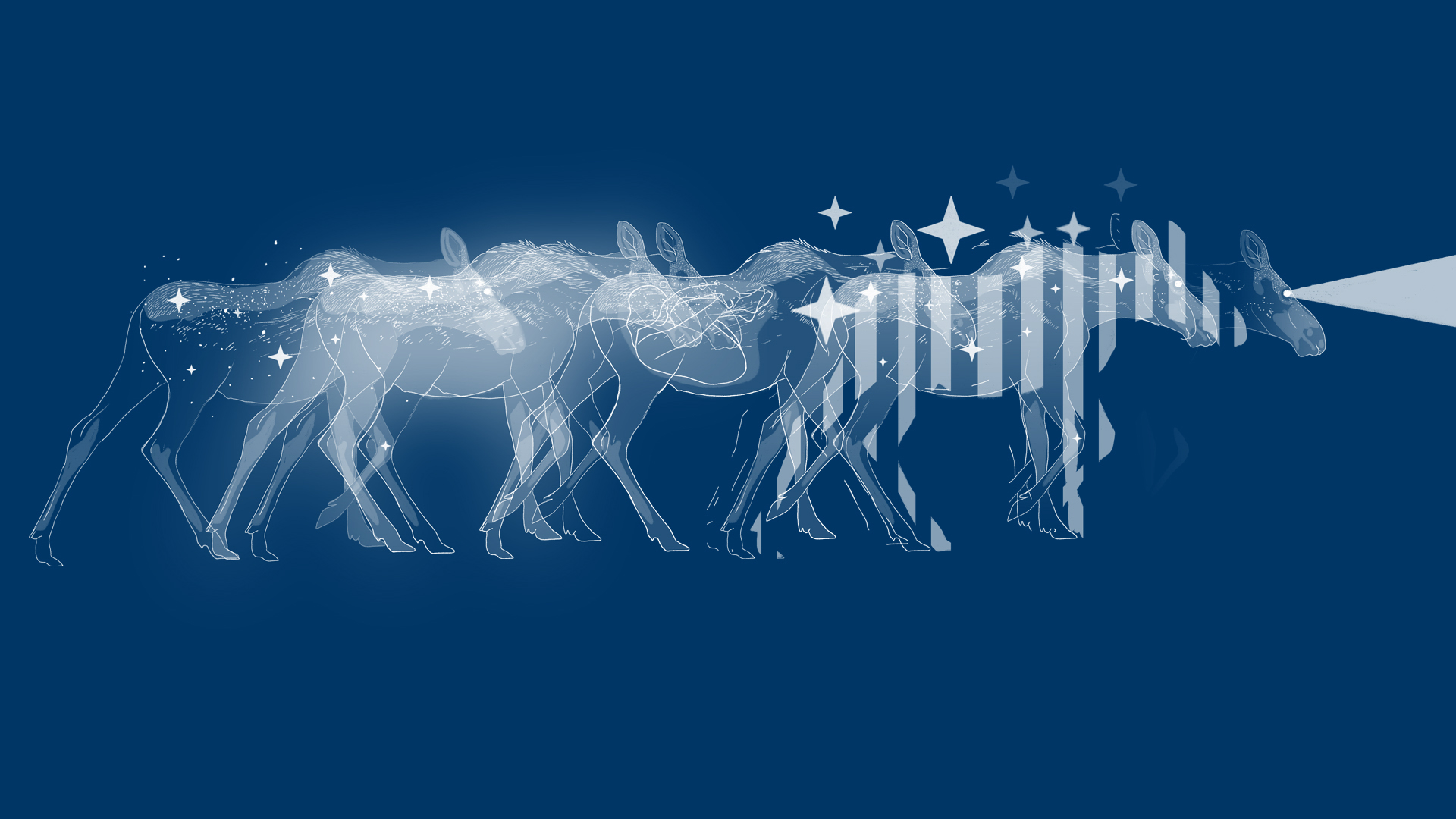 momenta-biennale-1-meky-ottawa