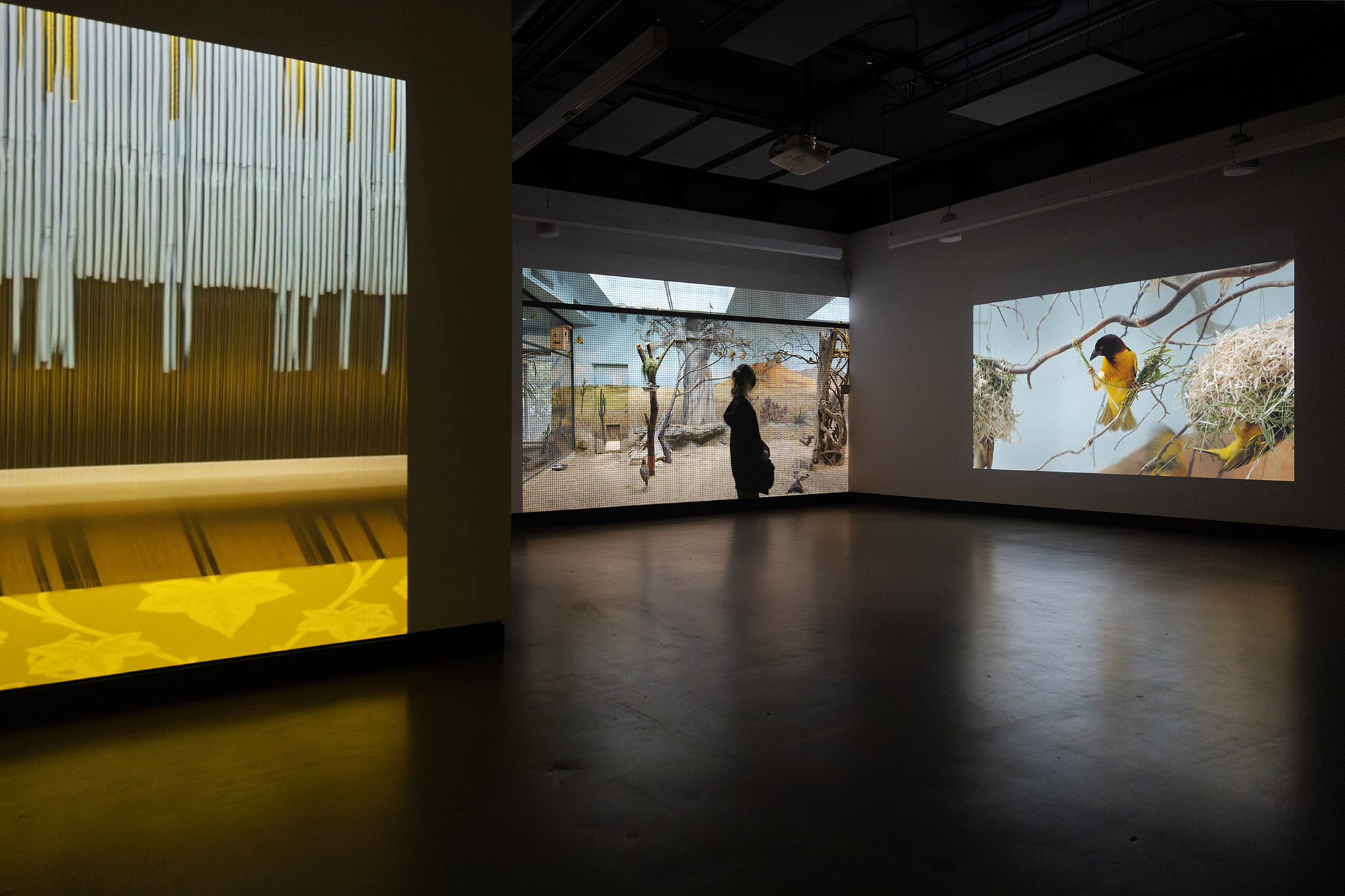 1-momenta-biennale-anette-rose-dazibao-1_ar