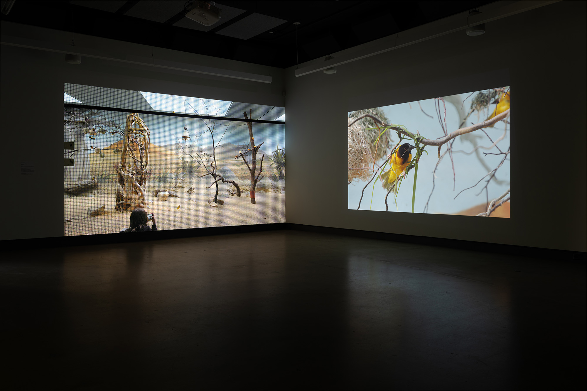 2-momenta-biennale-anette-rose-dazibao-6_ar