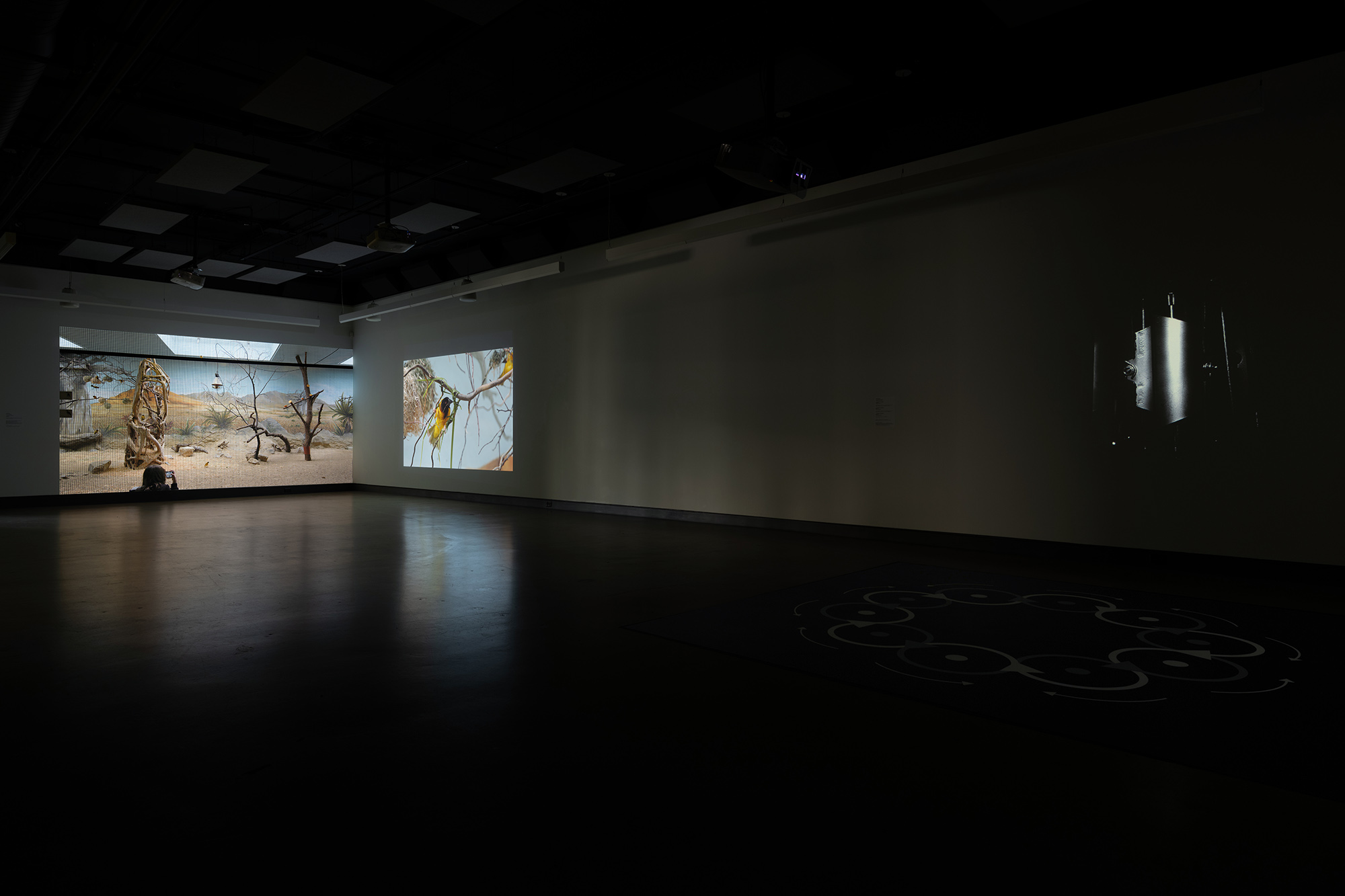 3-momenta-biennale-anette-rose-dazibao-7_ar