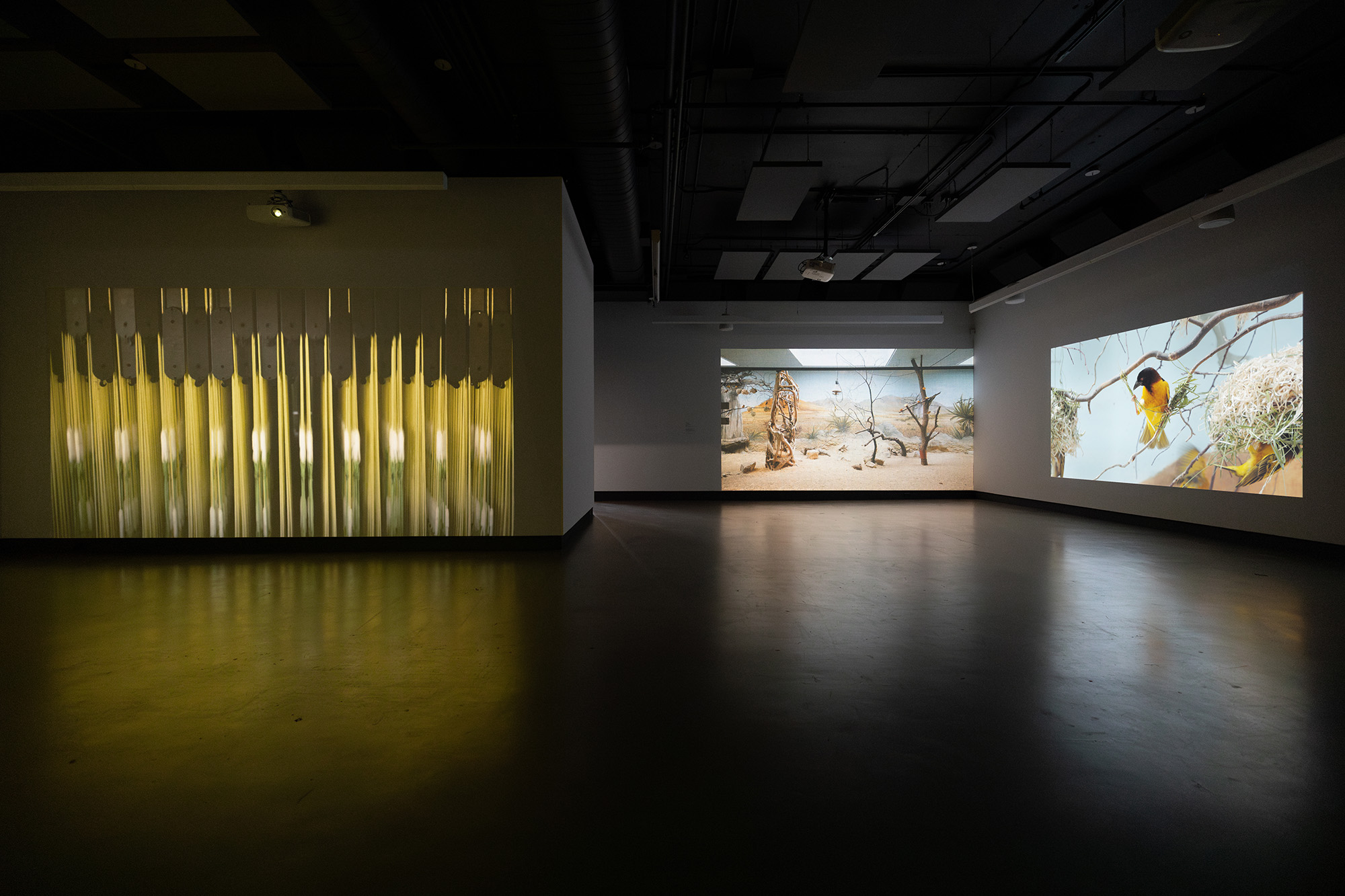 5-momenta-biennale-anette-rose-dazibao-9_ar01