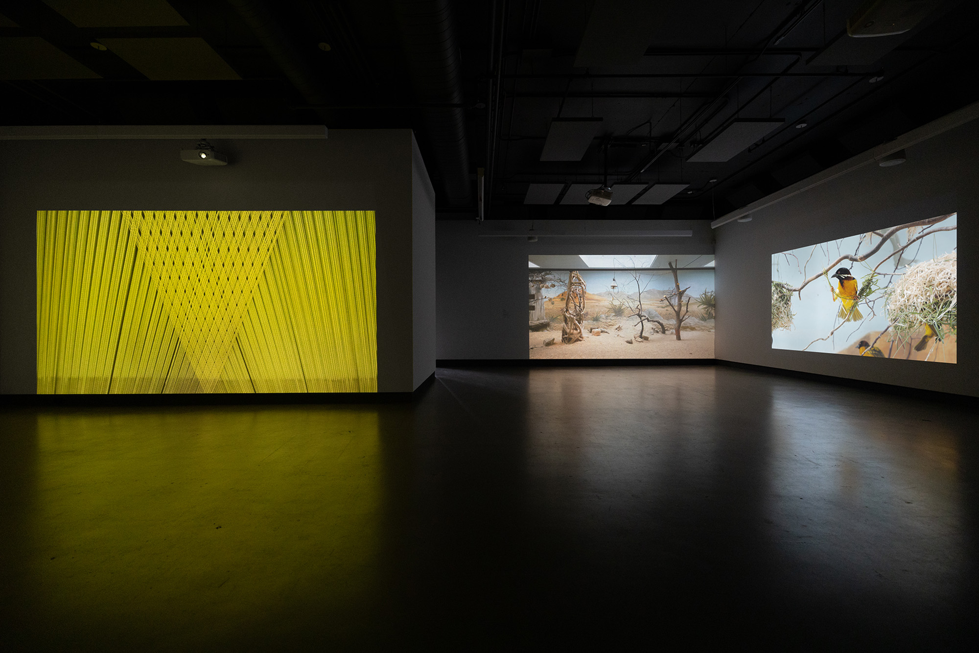 6-momenta-biennale-anette-rose-dazibao-10_ar01