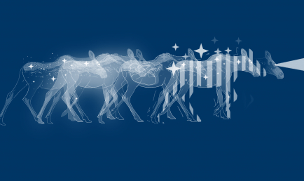 Peau tannée et tabac : un atelier de sacs de médecine