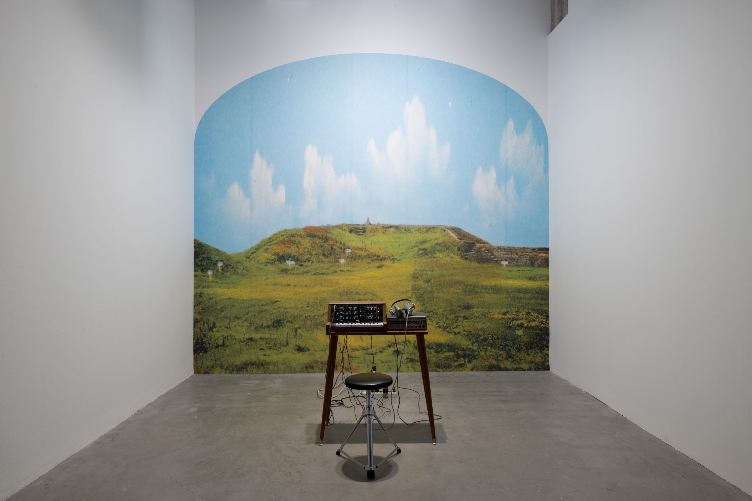 Copie de 001-momenta-biennale-remi-belliveau