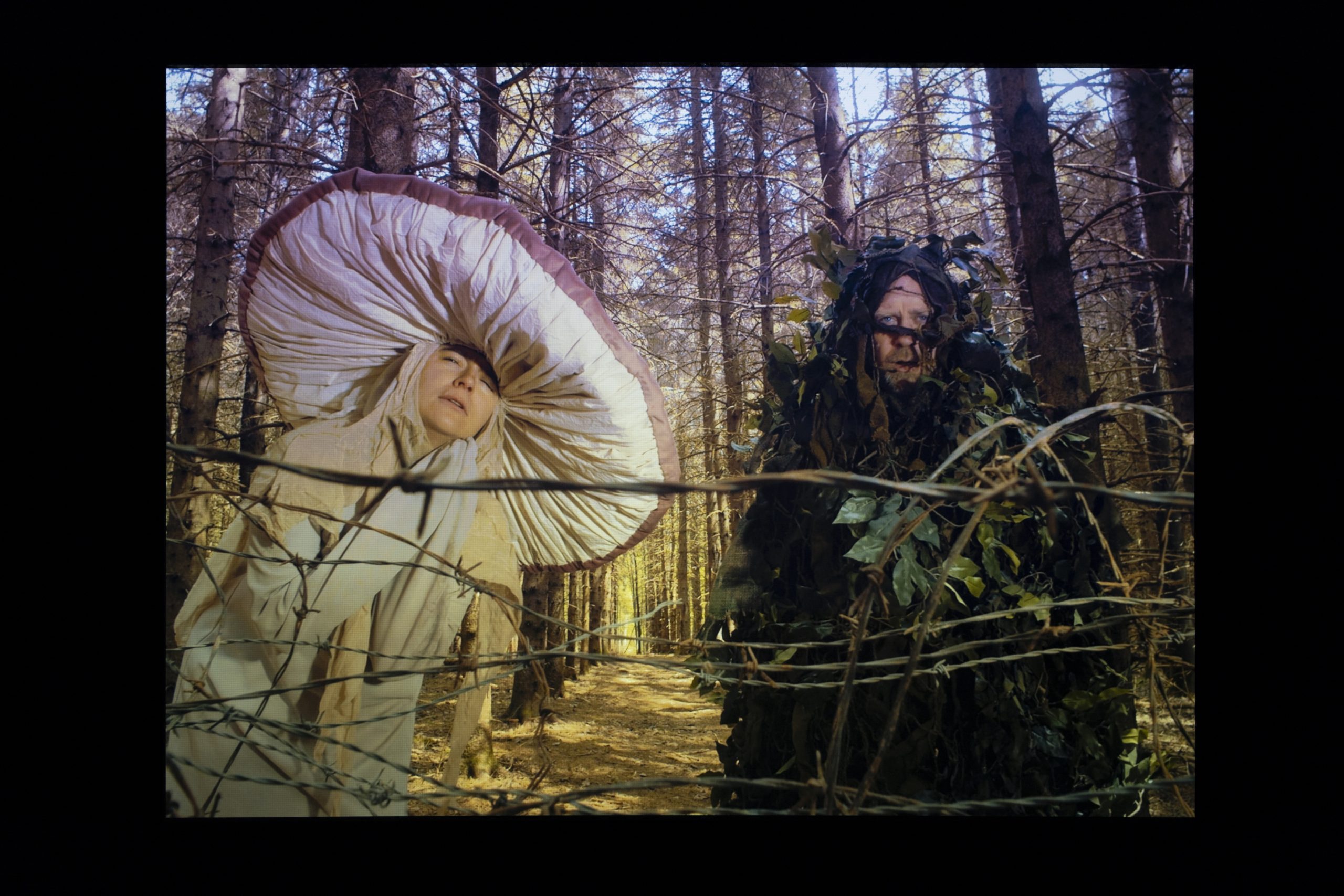 Copie de 015-momenta-biennale-marion-lessard