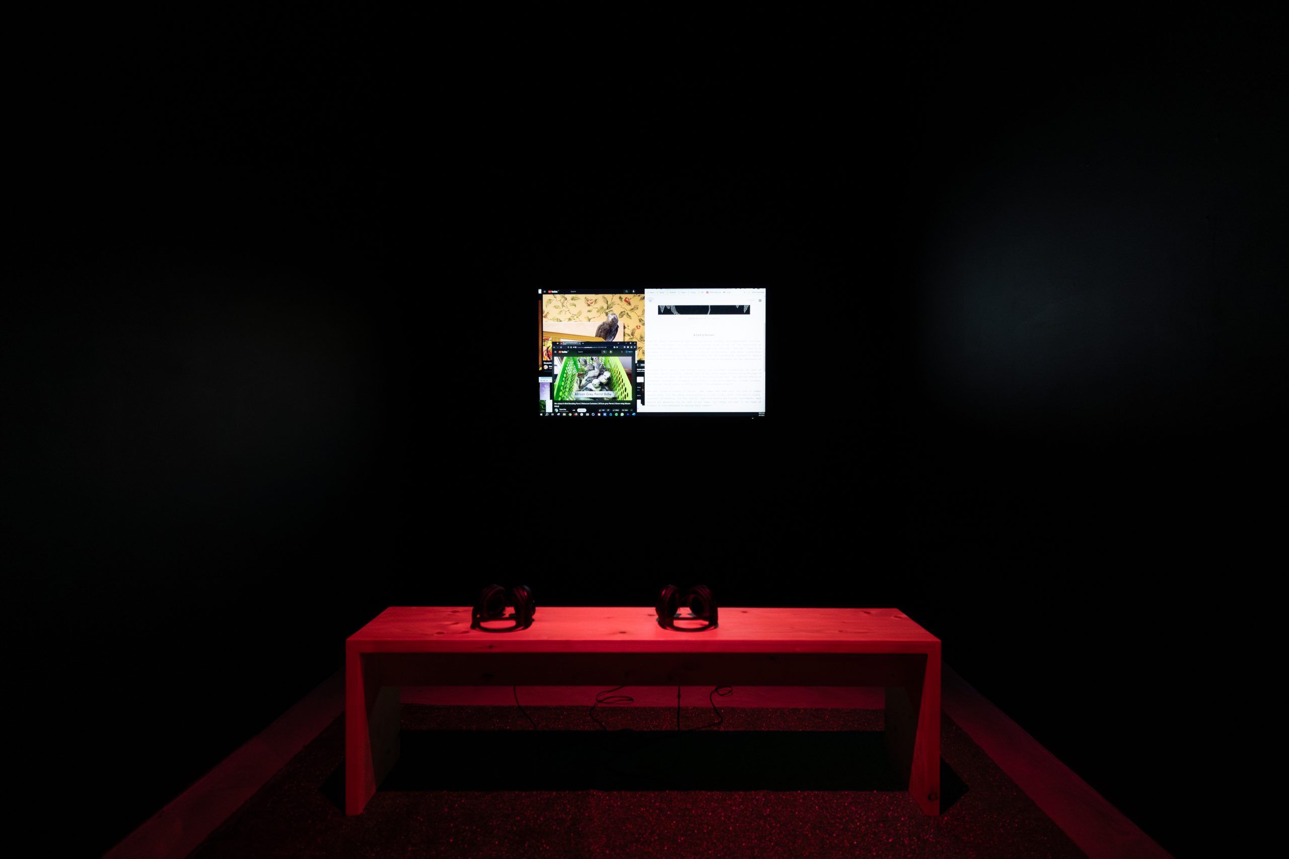 Copie de 018-momenta-biennale-mara-eagle