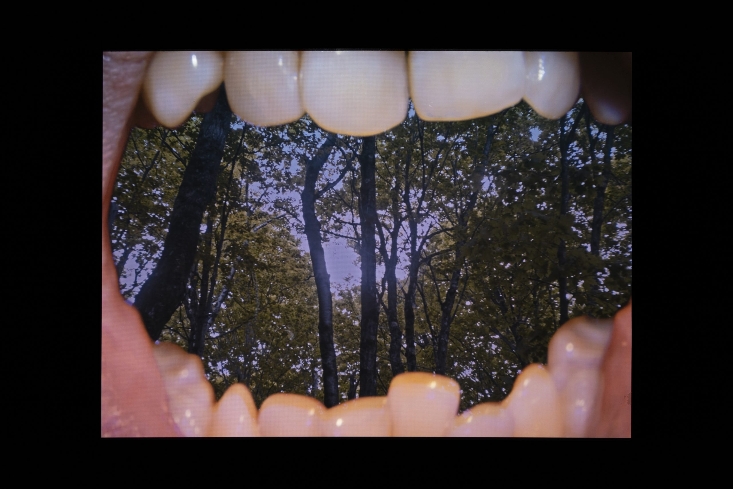 Copie de 018-momenta-biennale-marion-lessard