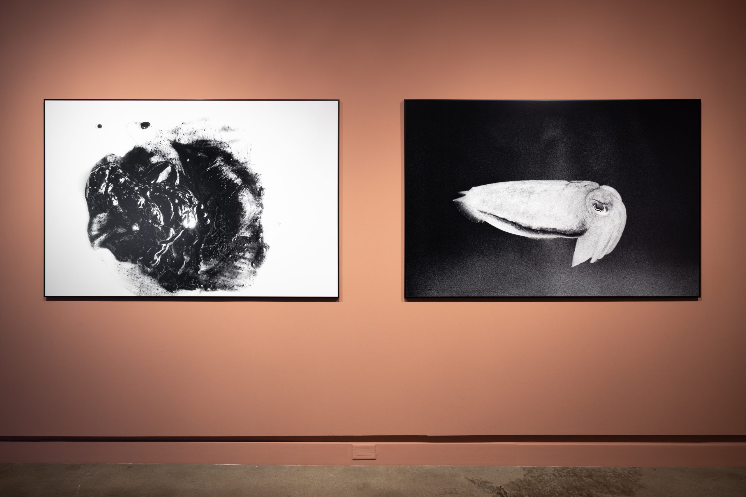 Copie de momenta-biennale-bianca-baldi-diagonale-14