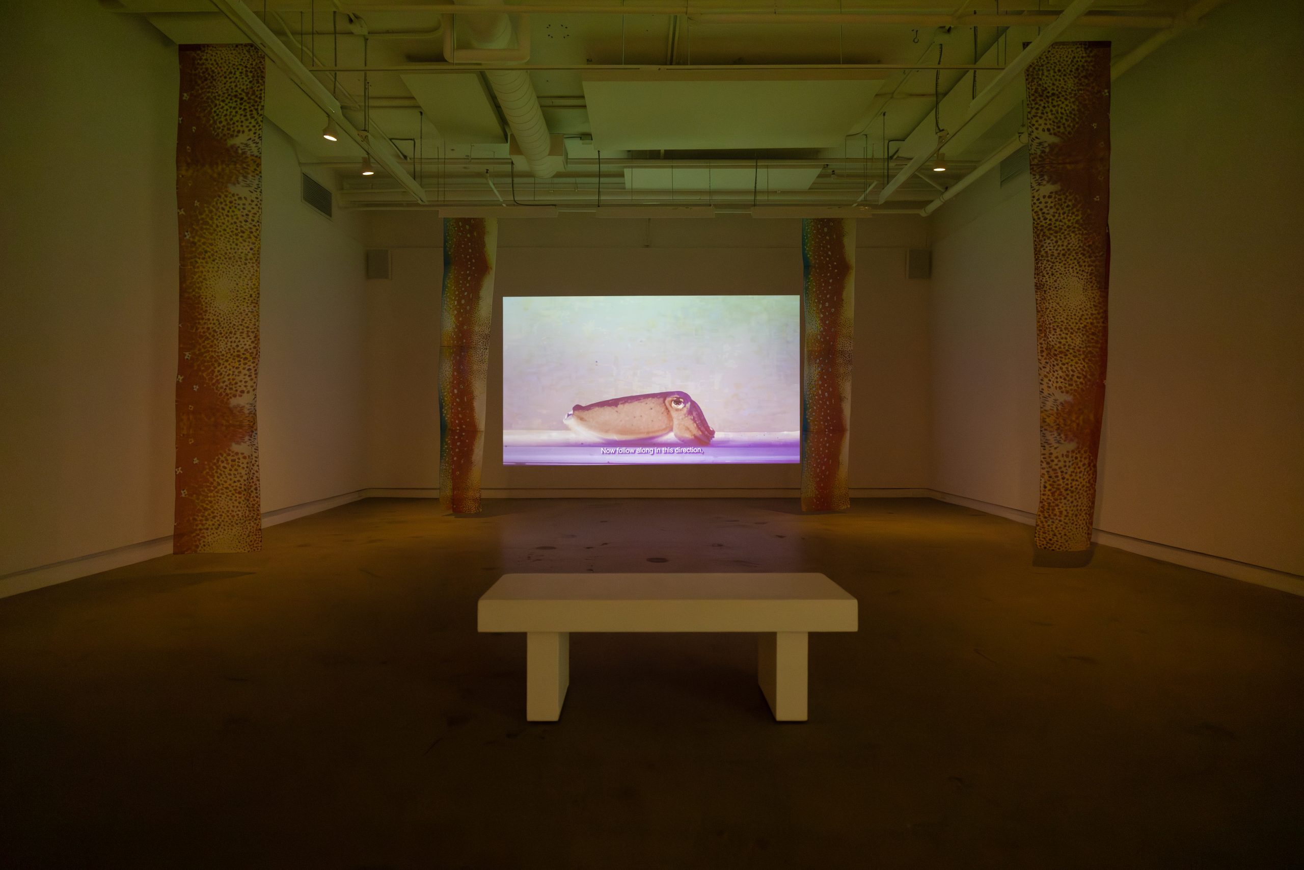 Copie de momenta-biennale-bianca-baldi-diagonale-9