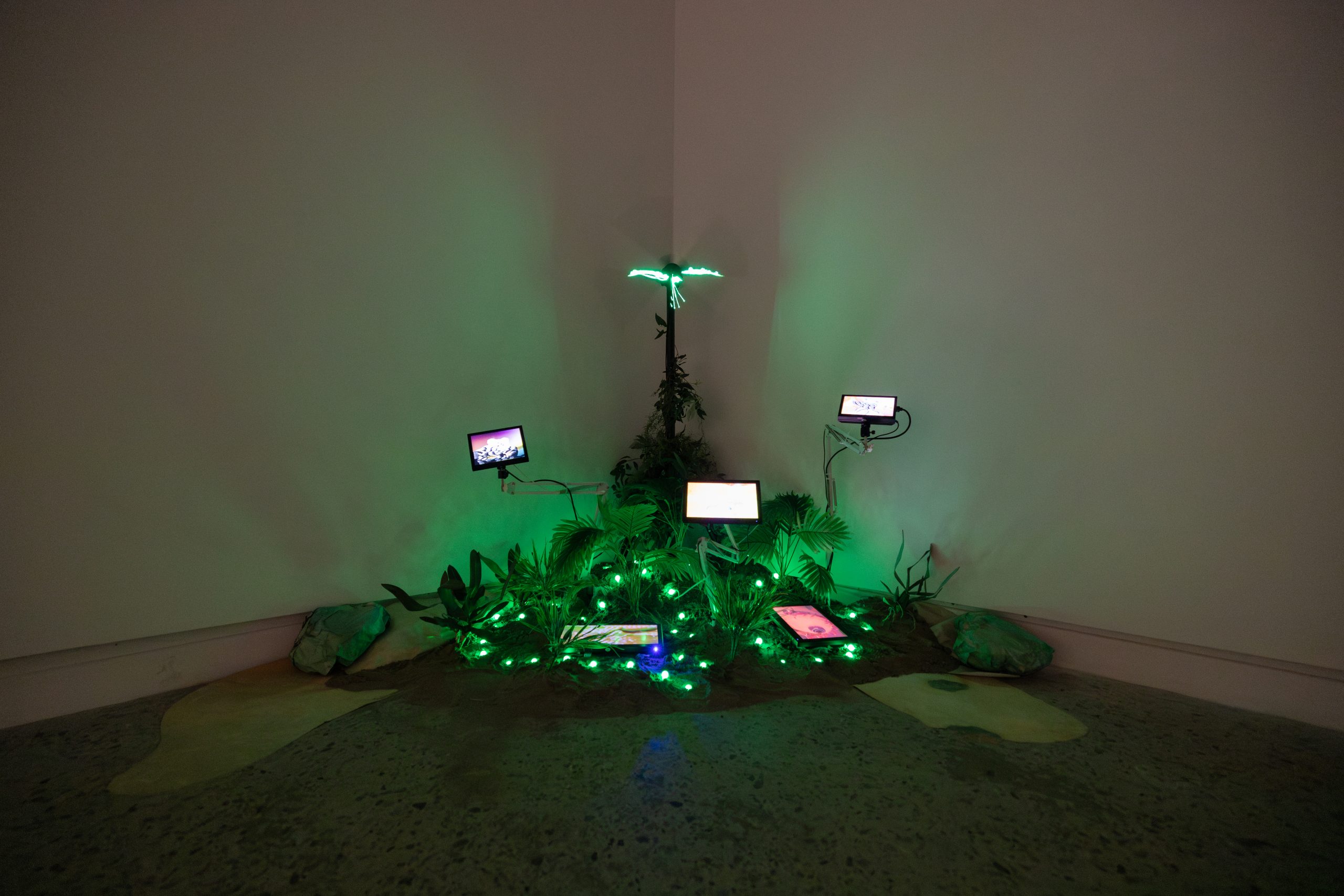 Copie de momenta-biennale-bianca-shonee-arroyo-kreimes-optica-18