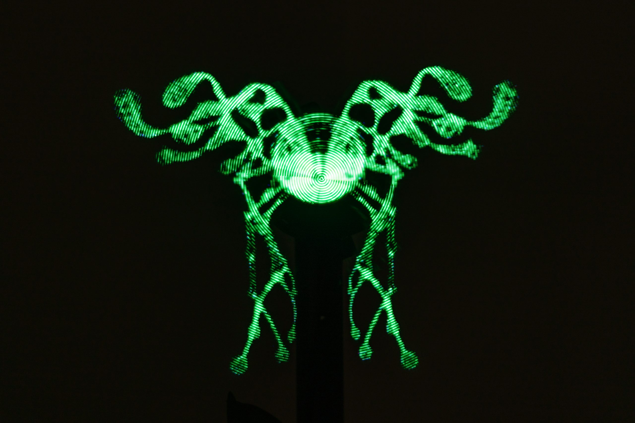 Copie de momenta-biennale-bianca-shonee-arroyo-kreimes-optica-23