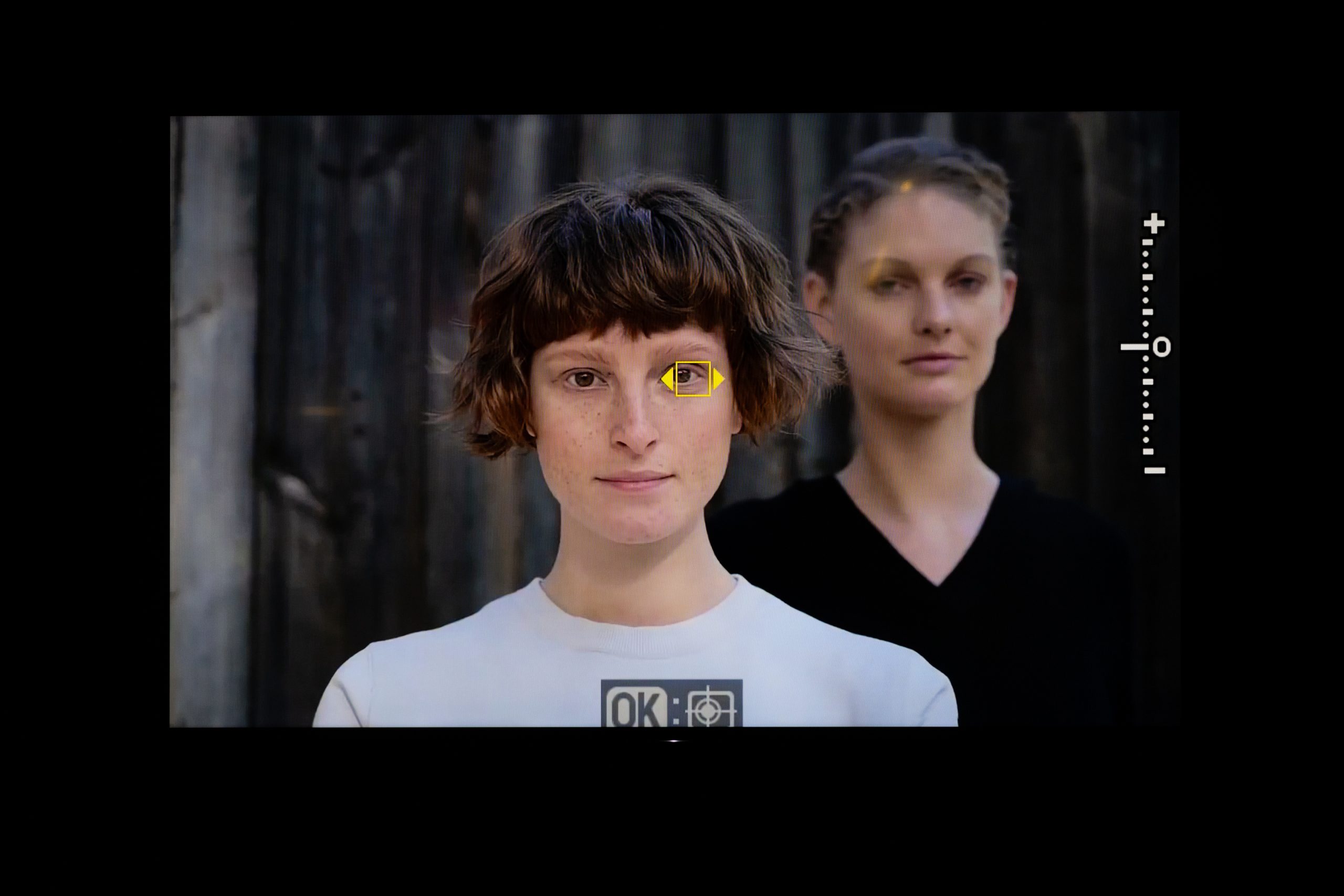 Copie de momenta-biennale-carey-young-dazibao-15