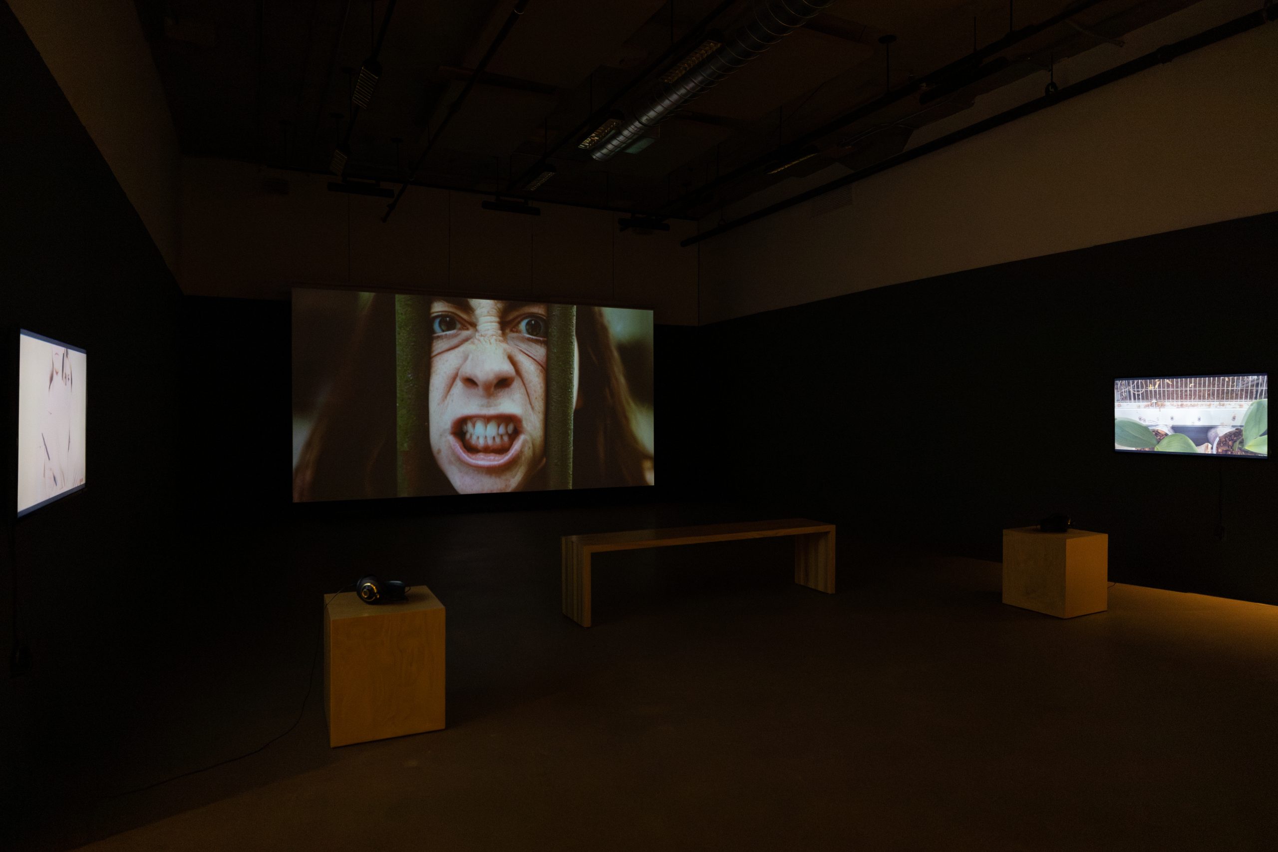 Copie de momenta-biennale-kristina-norman-centre-clark-21