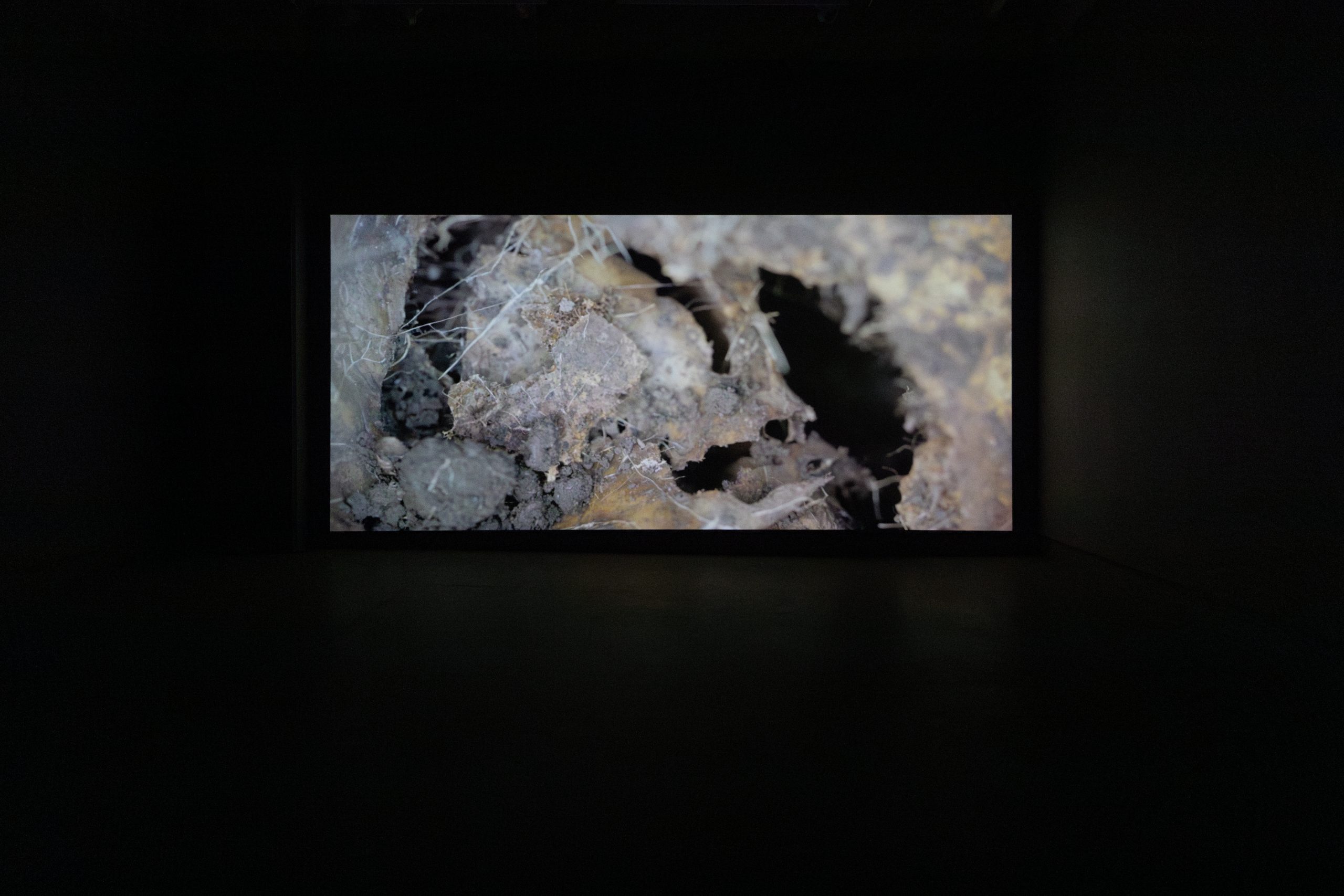 Copie de momenta-biennale-maya-watanabe-1