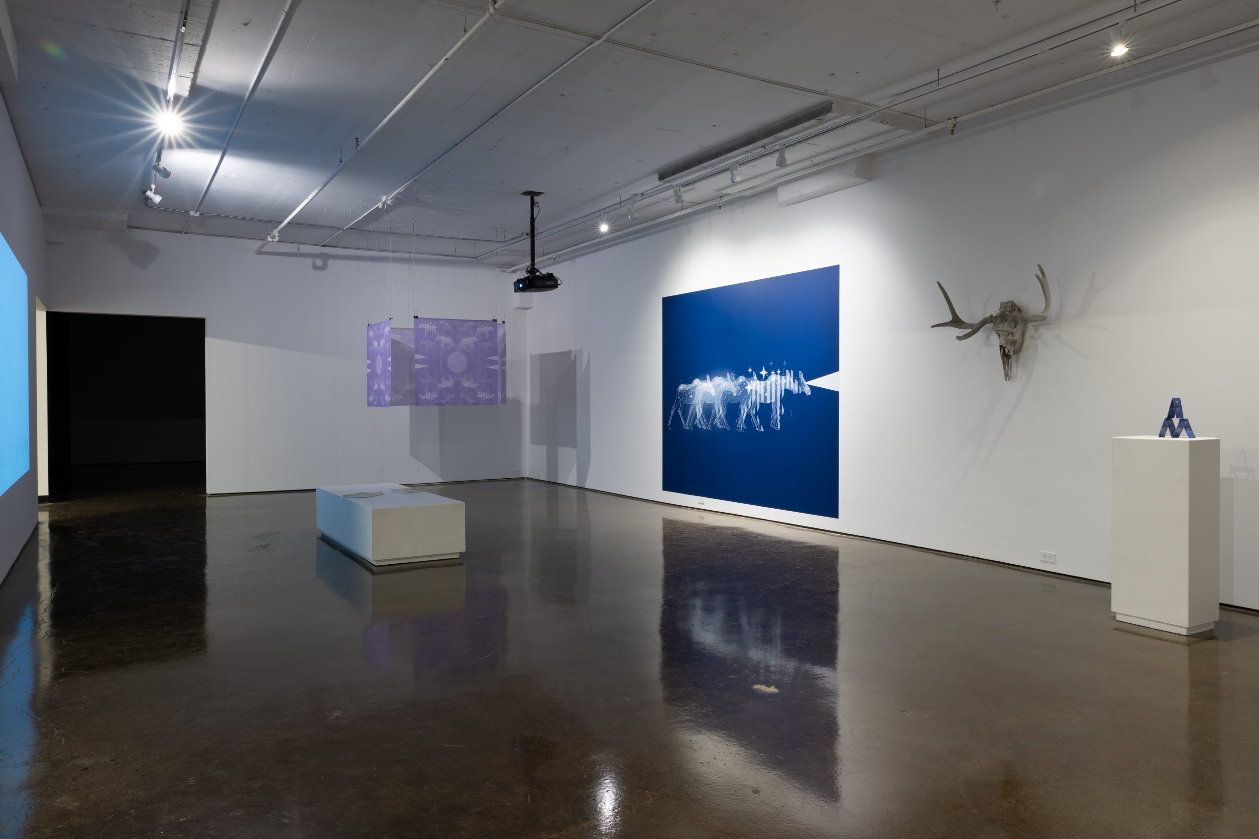 Copie de momenta-biennale-meky-ottawa-daphne- (2)