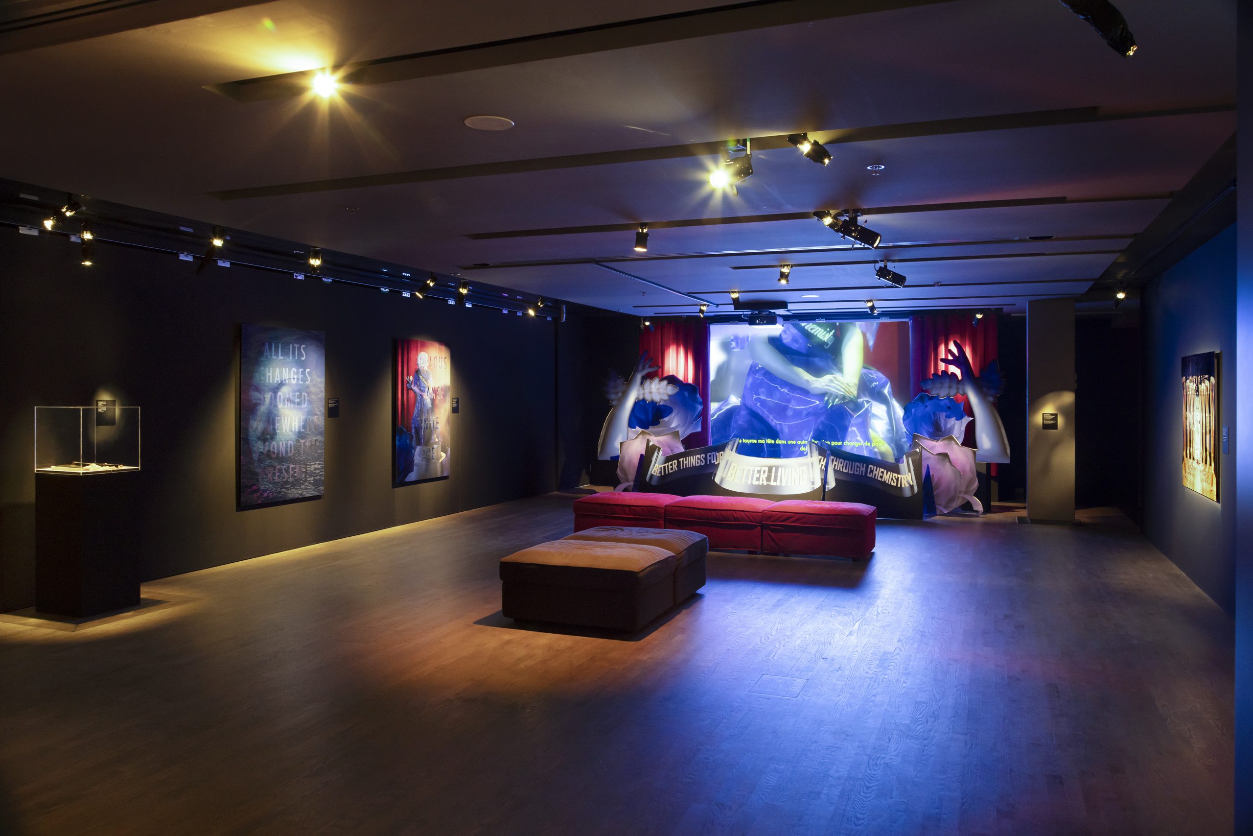 Copie de momenta-biennale-séamus-gallgher-musée-mccord-stewart-12