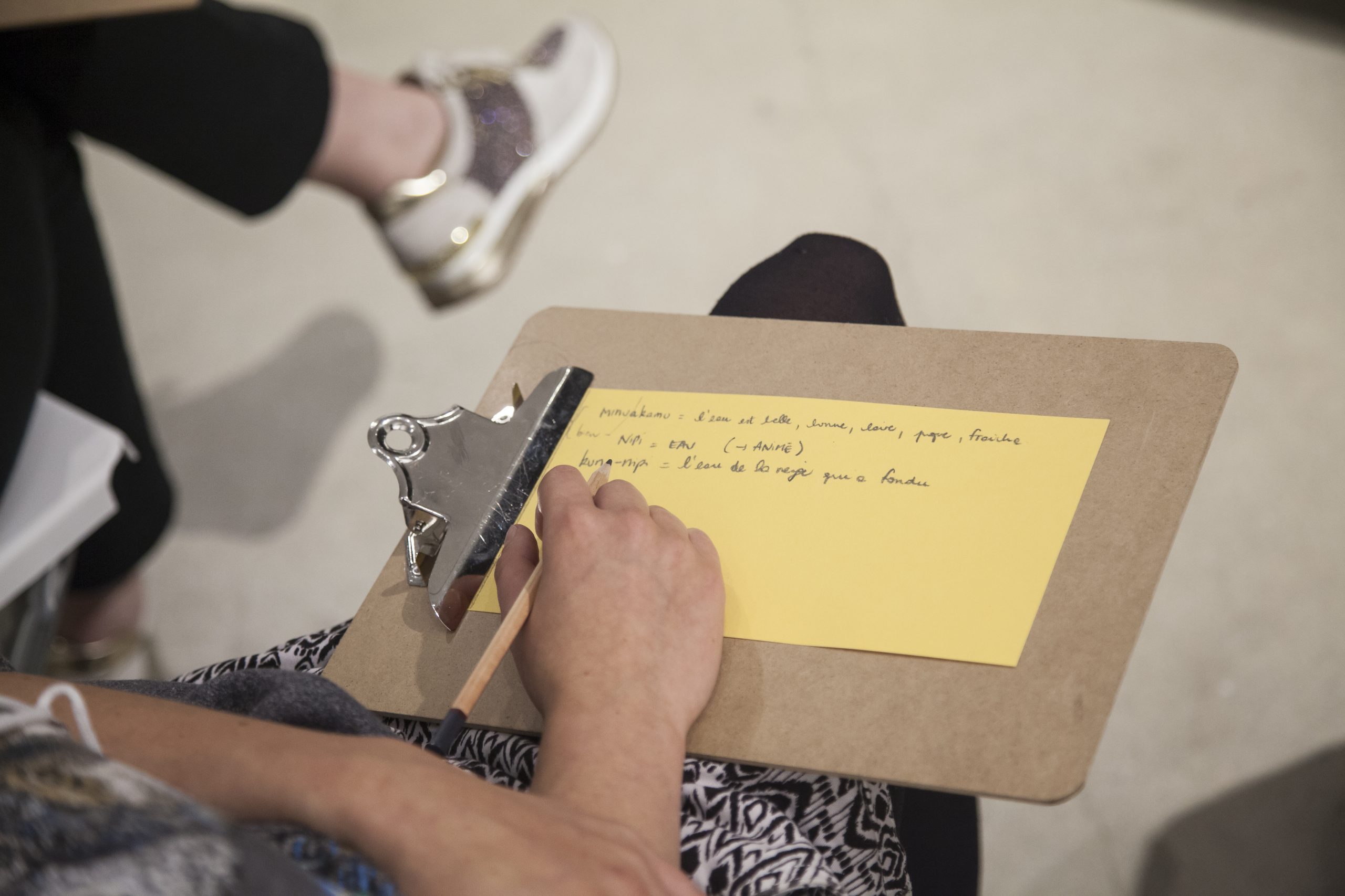 momenta-biennale-images-de-la-langue-innue-2017-03