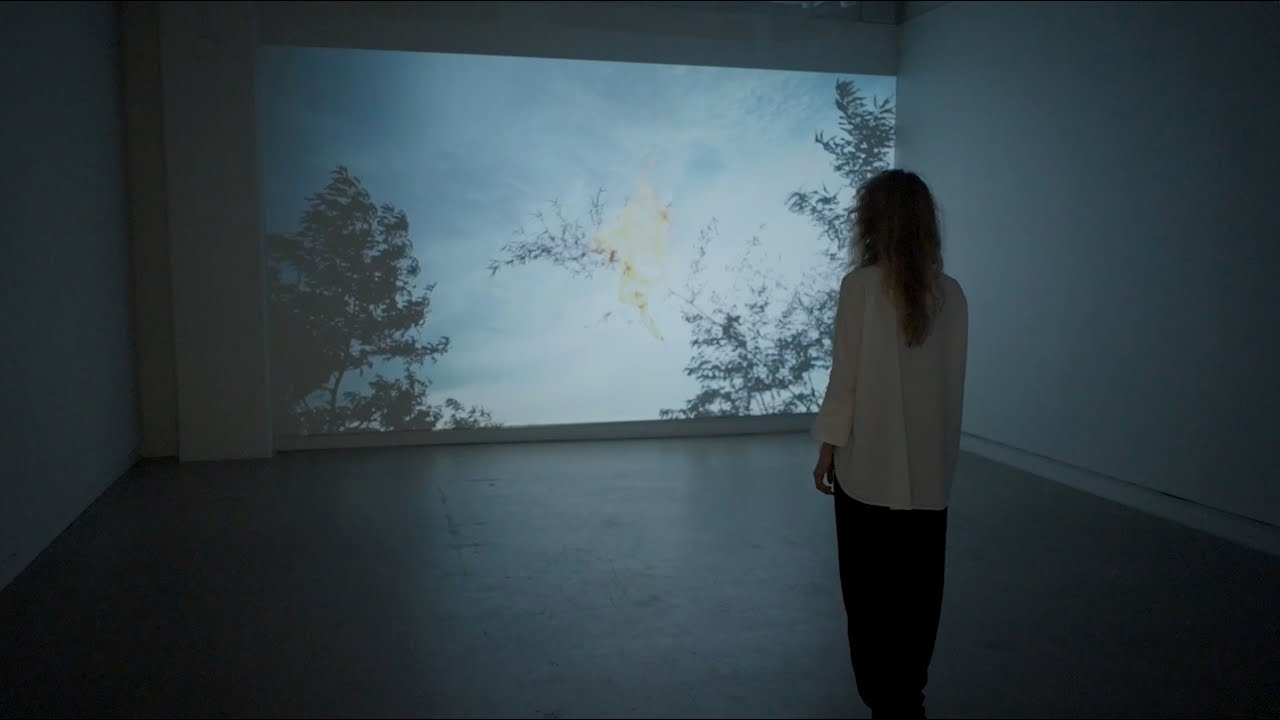 Visite commissariale par Stefanie Hessler | Curatorial Tour by Stefanie Hessler — MOMENTA 2021