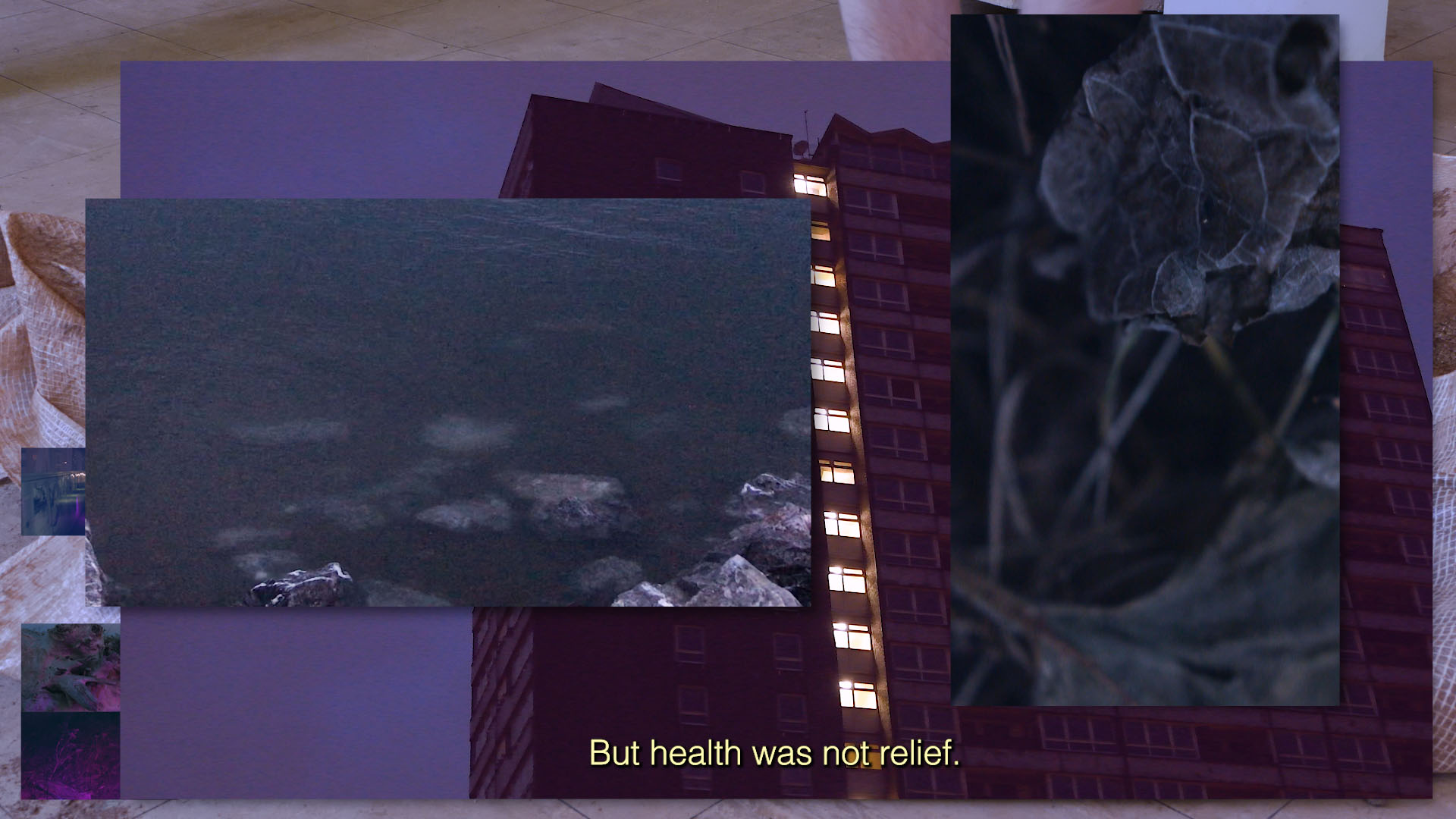 momenta-biennale-01-anouk-verviers